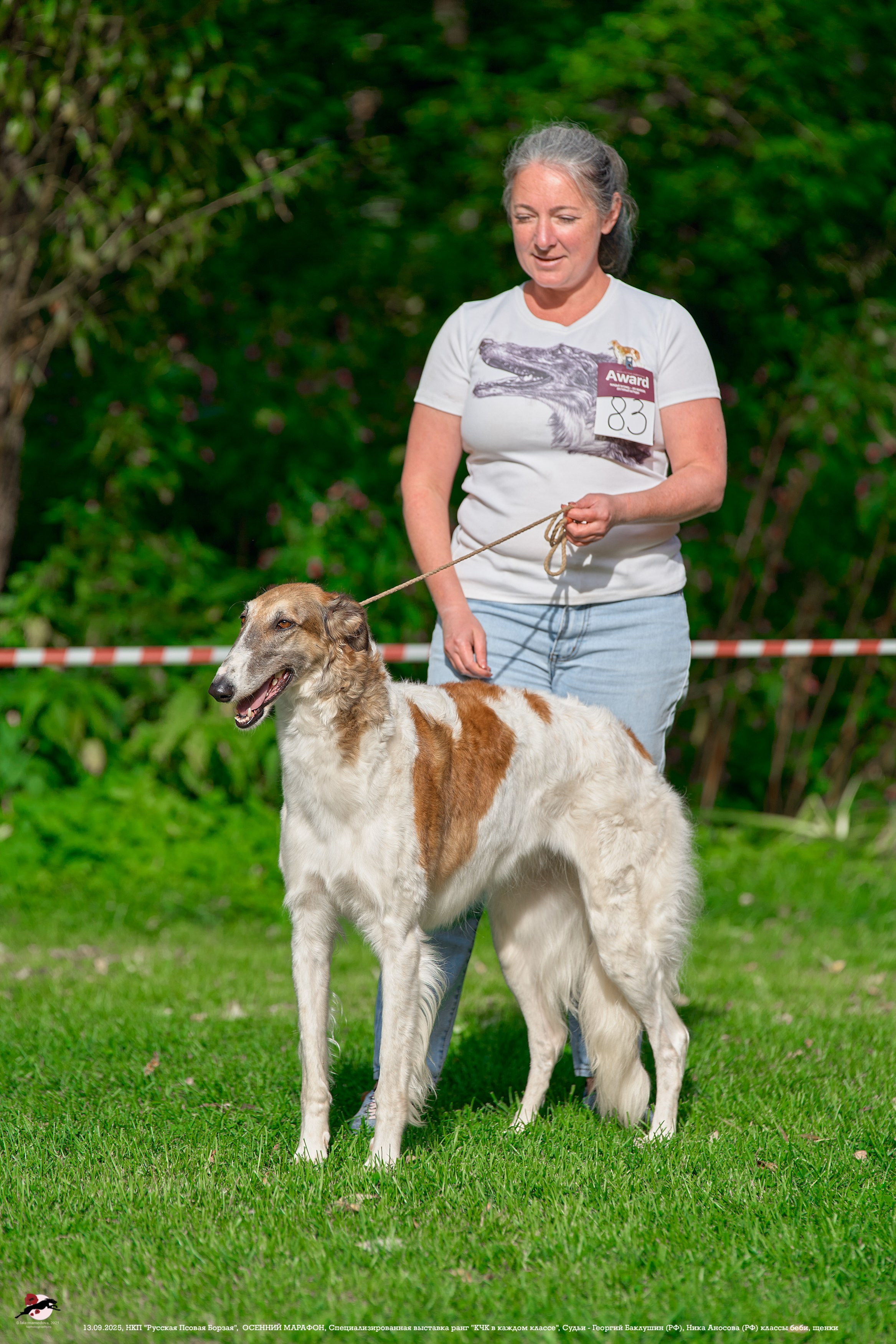 ОСЕННИЙ МАРАФОН | Специализированная выставка породы Русская Псовая Борзая ранг "КЧК в каждом классе"