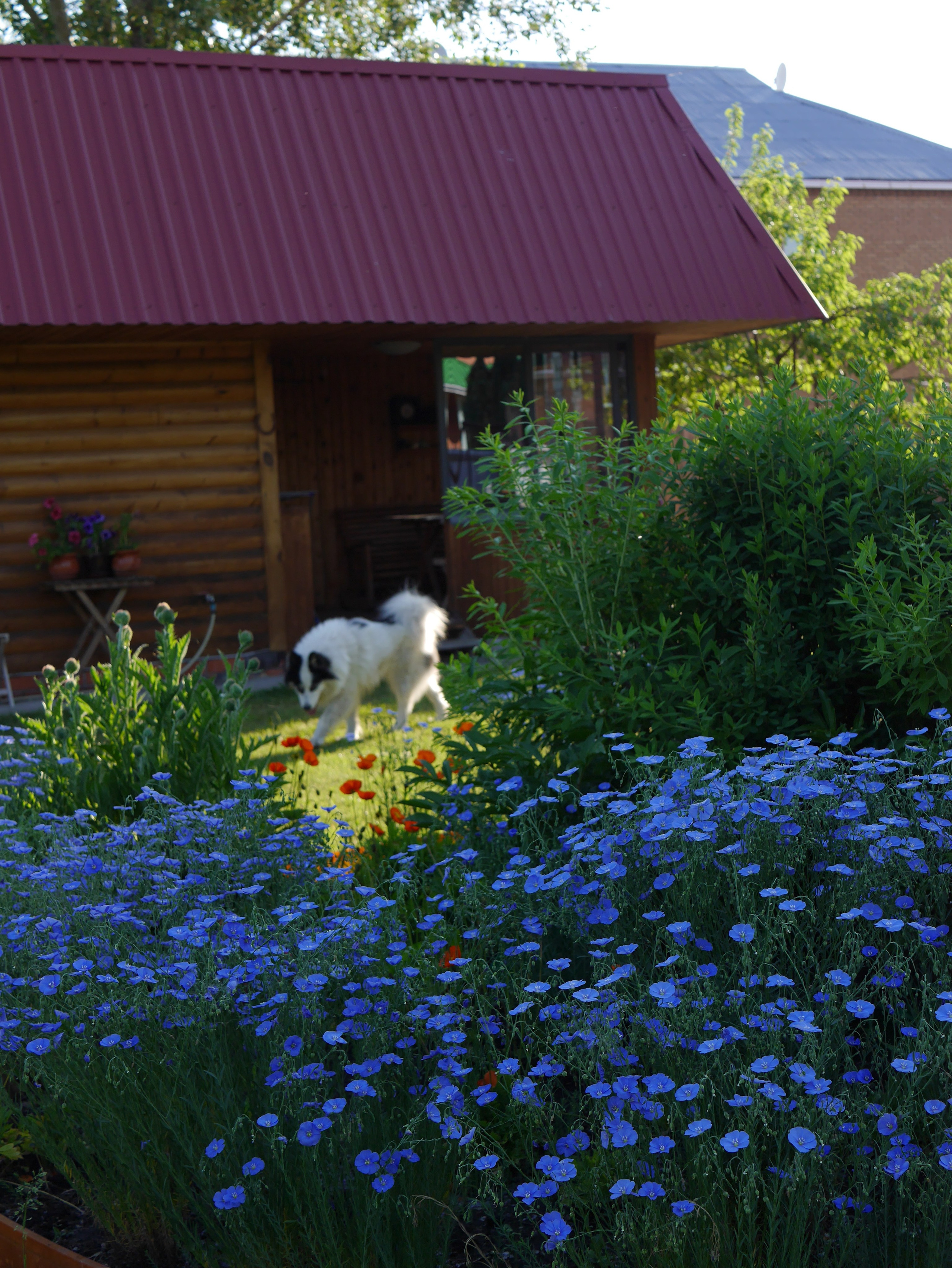 Вся красота мира в одной картинке