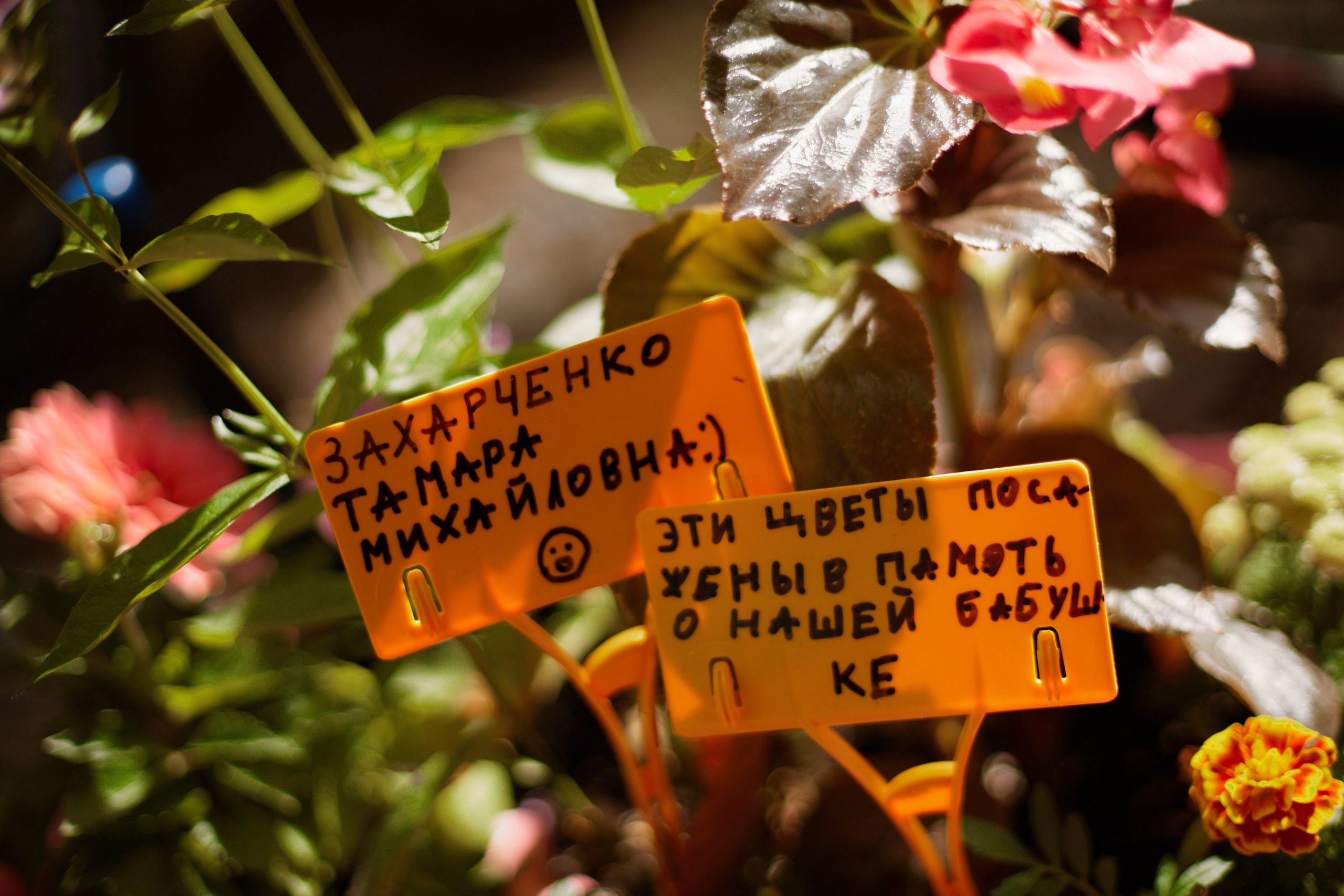 Художественно-исследовательские и образовательные проекты