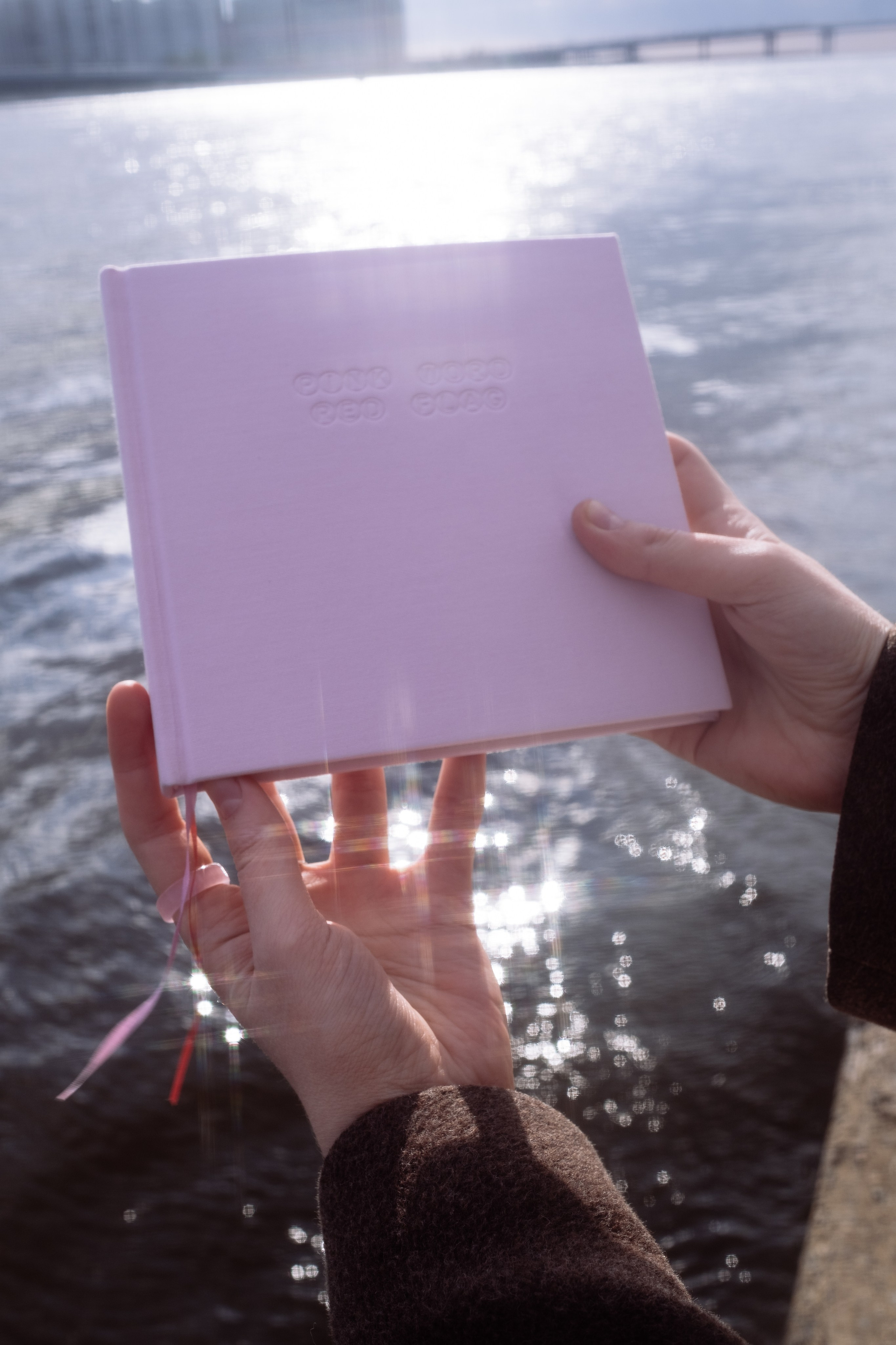 КНИГА ХУДОЖНИКА PINK WORD RED FLAG. Бюро Индульгенции Серафима Бучинская продюсер дизайнер художница СПб