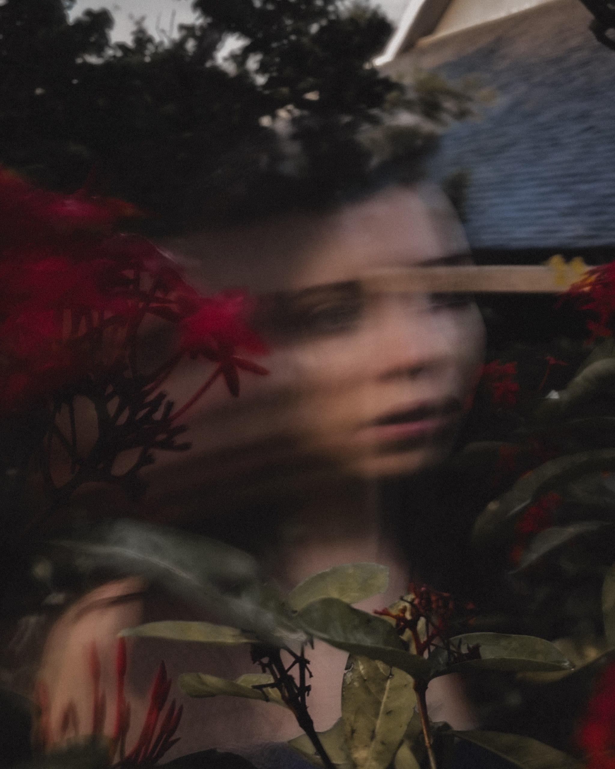 Наставничество для фотографов. Vladimir Borele Photographer