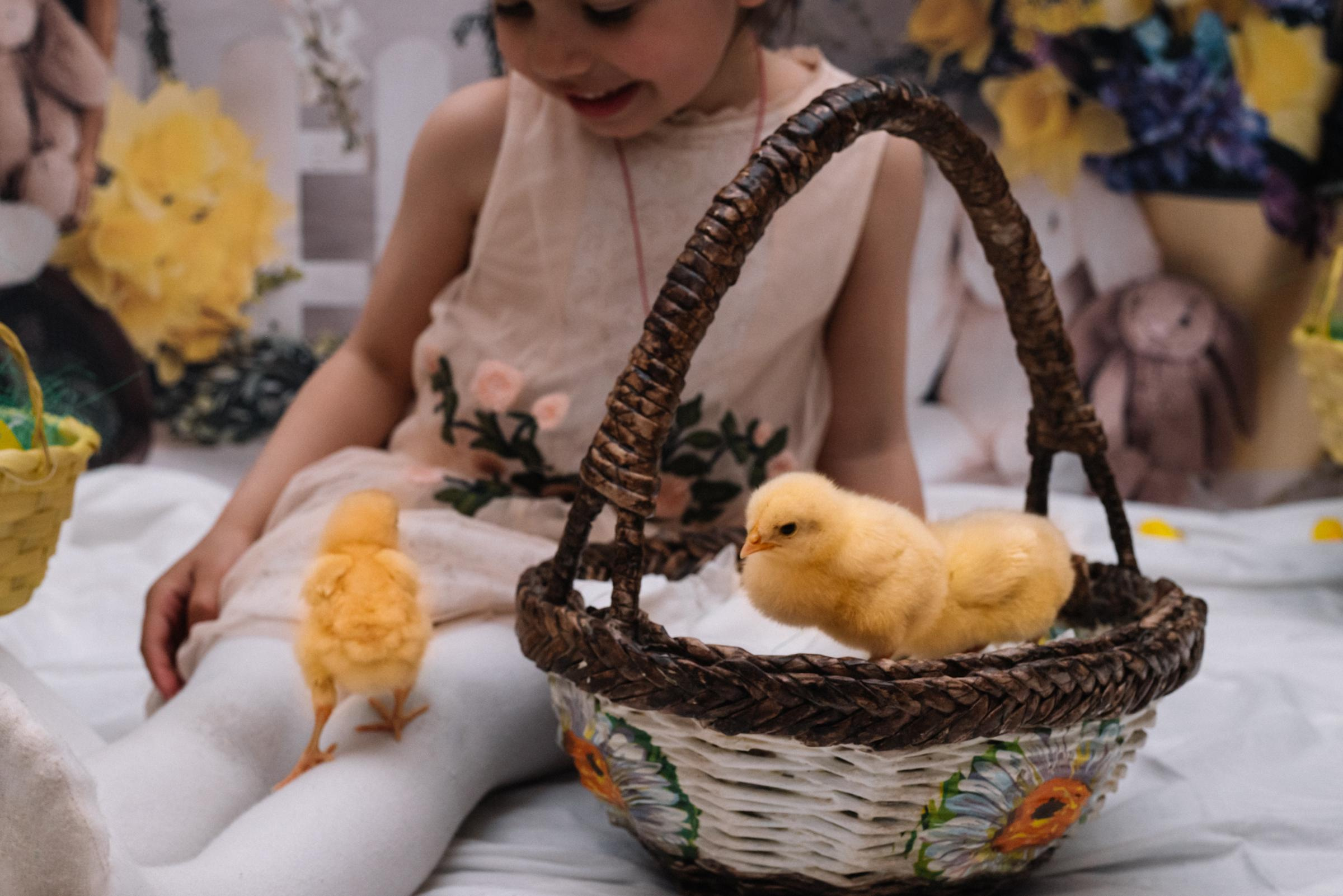 К Пасхе для Вики. Семейный фотограф в Минске Дарья Дреко