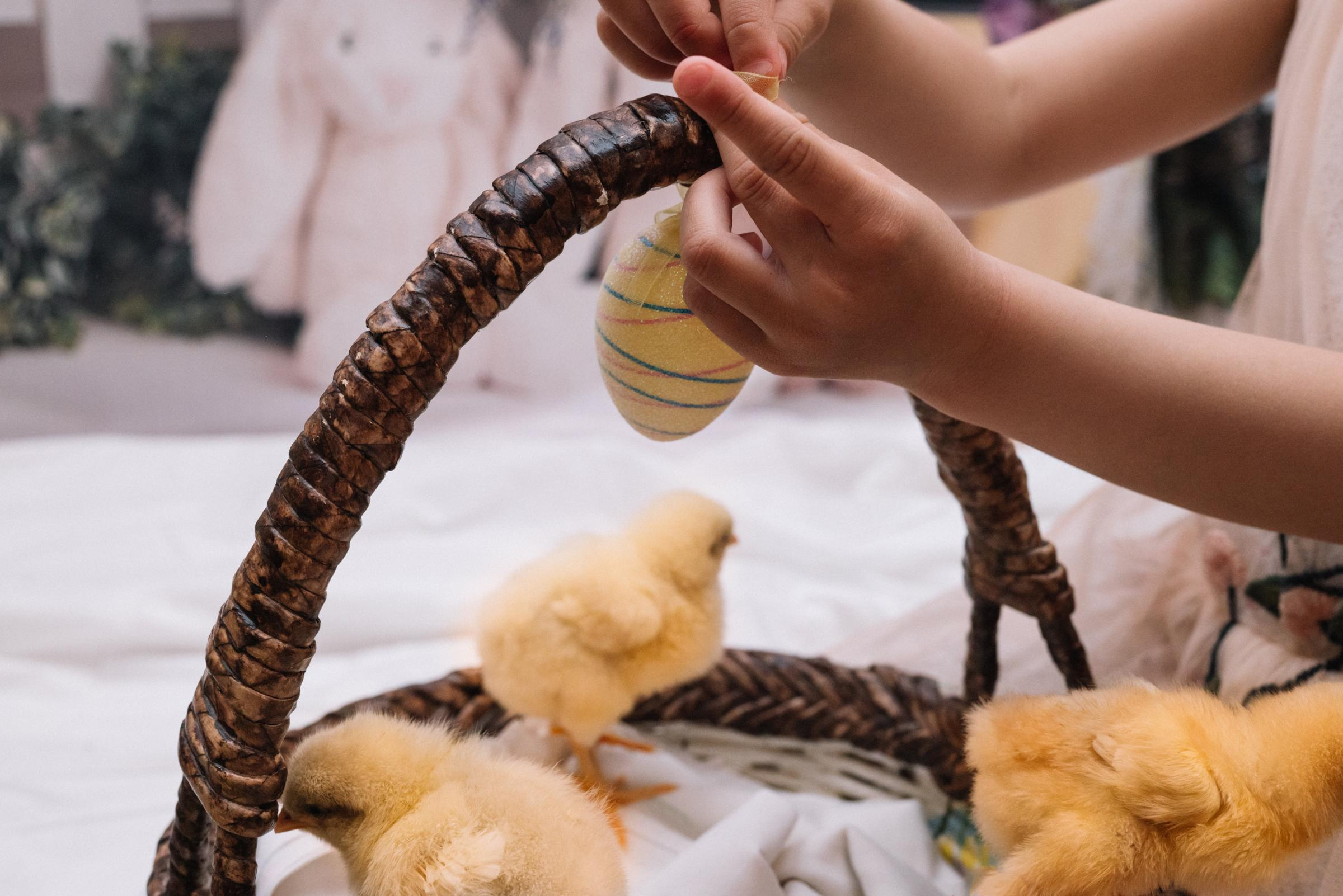 К Пасхе для Вики. Семейный фотограф в Минске Дарья Дреко