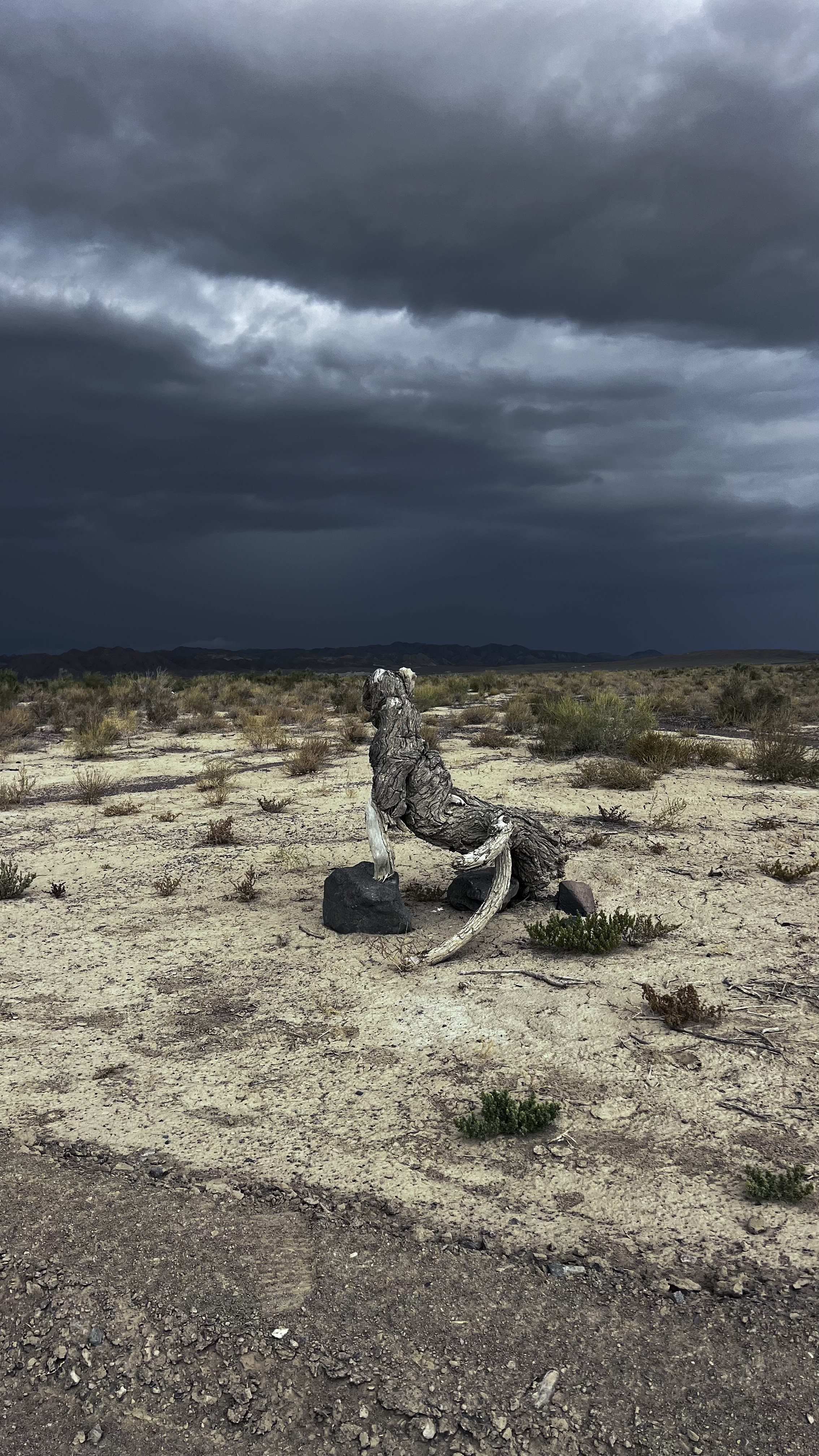 Национальный парк Алтын Эмель рядом с Алматы, Казахстан. Где находится, как доехать, фото и видео зимой и летом