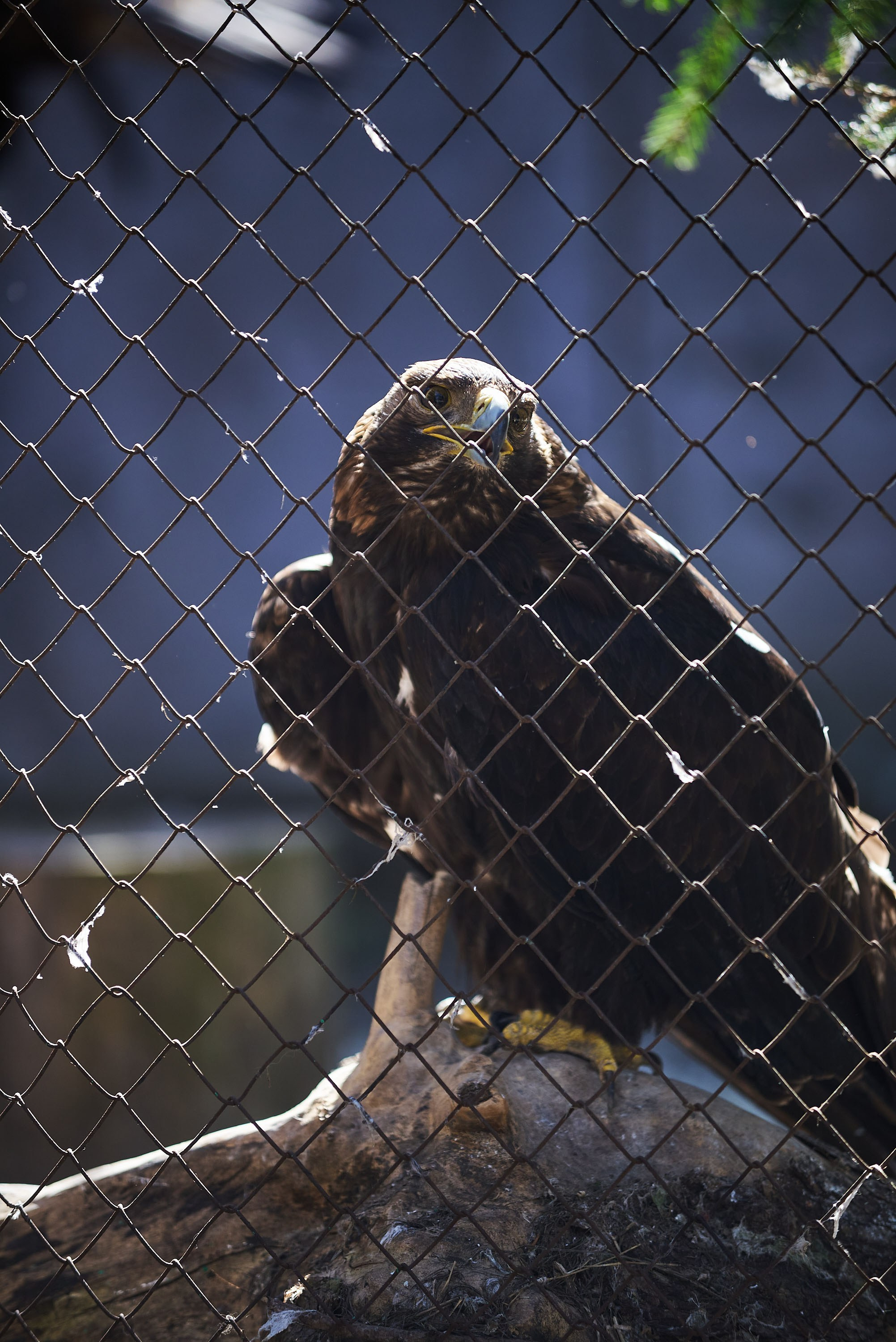 Зоопарк Иваново. Фотограф в Иваново: Каталожная съемка одежды и постельного белья, Wildberries