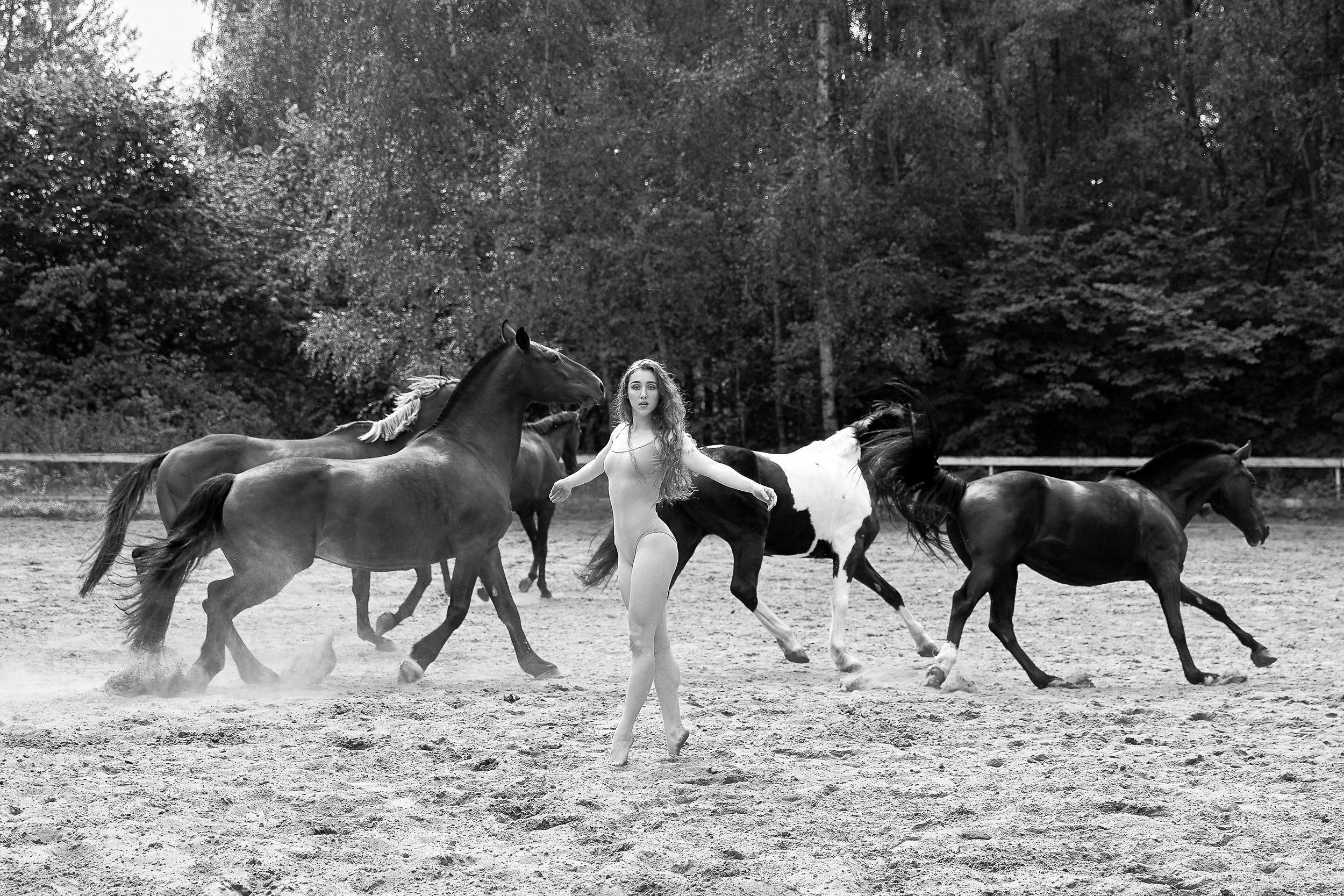 Балет и лошади, фотосессия «ГРАЦИЯ и СИЛА-1» Фотограф Михаил Семенов г. Ярославль