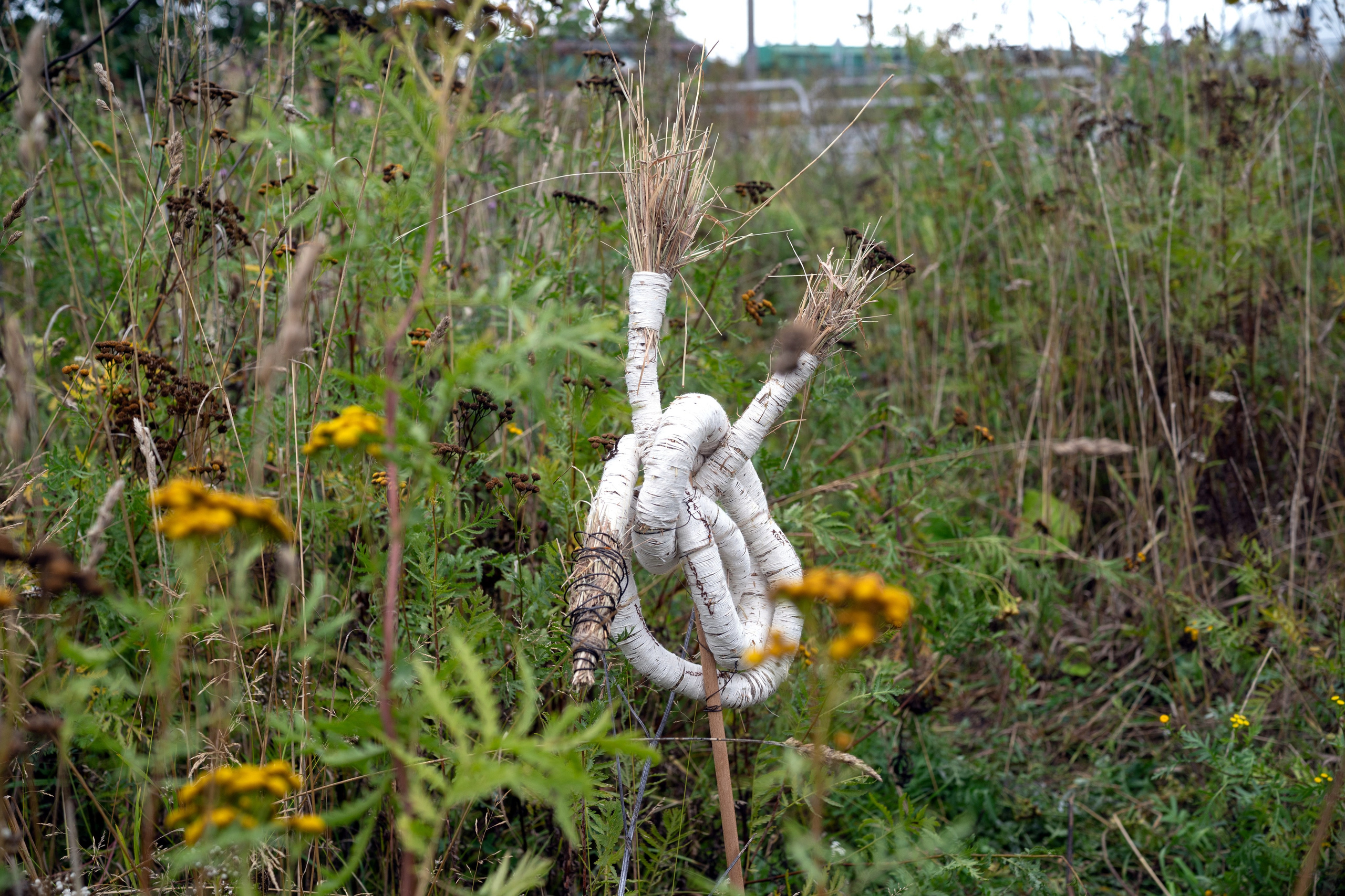 Красненькая биеннале 2025