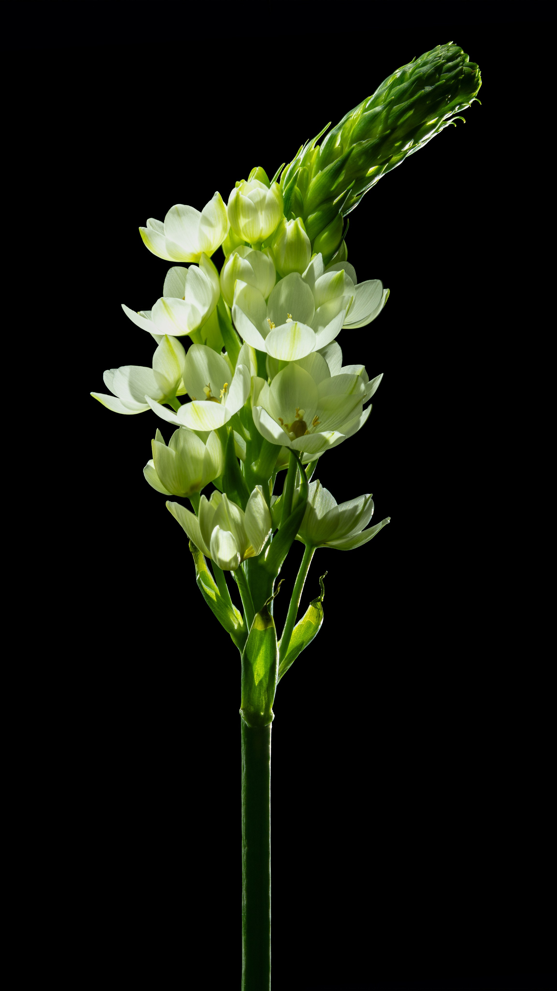 Проекты. Sakunov Photo