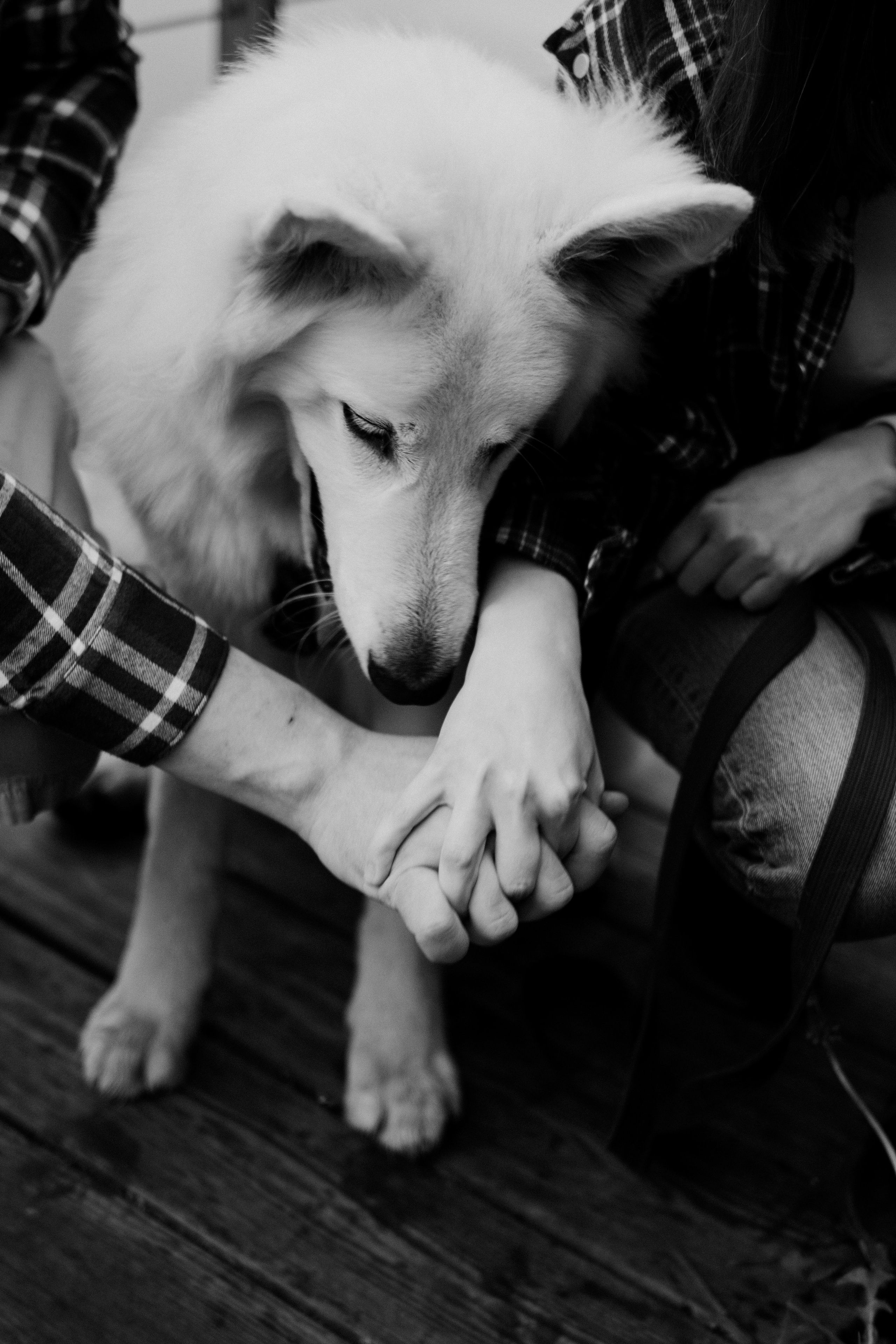 Семейные съемки. Светлана Бычкова. Контент и бизнес-фотограф в Москве и Петербурге