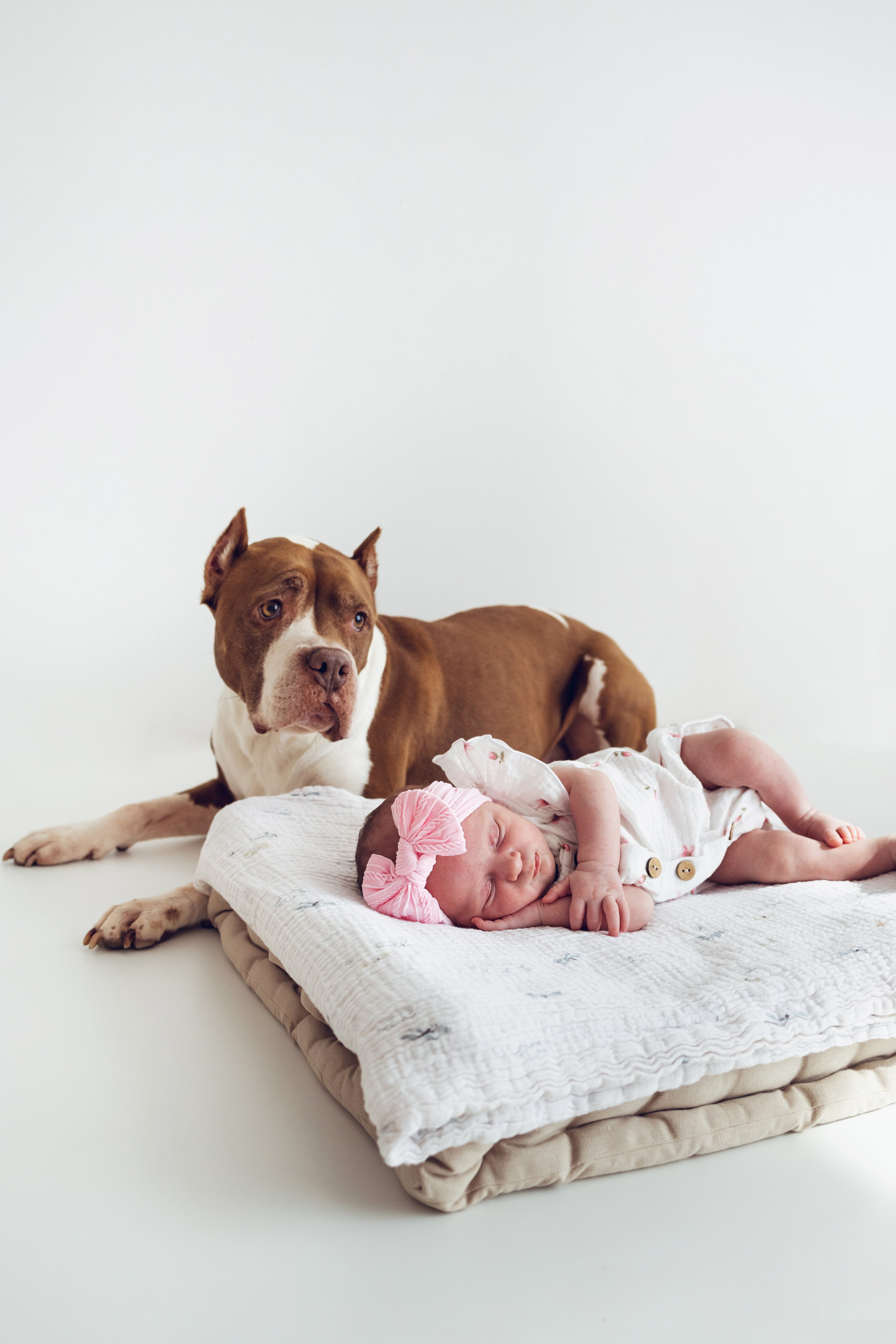 Детская фотосессия семейная фотосессия дети семьи детский фотограф семейный фотограф. Детская фотостудия «Лиммеридж» в Санкт-Петербурге