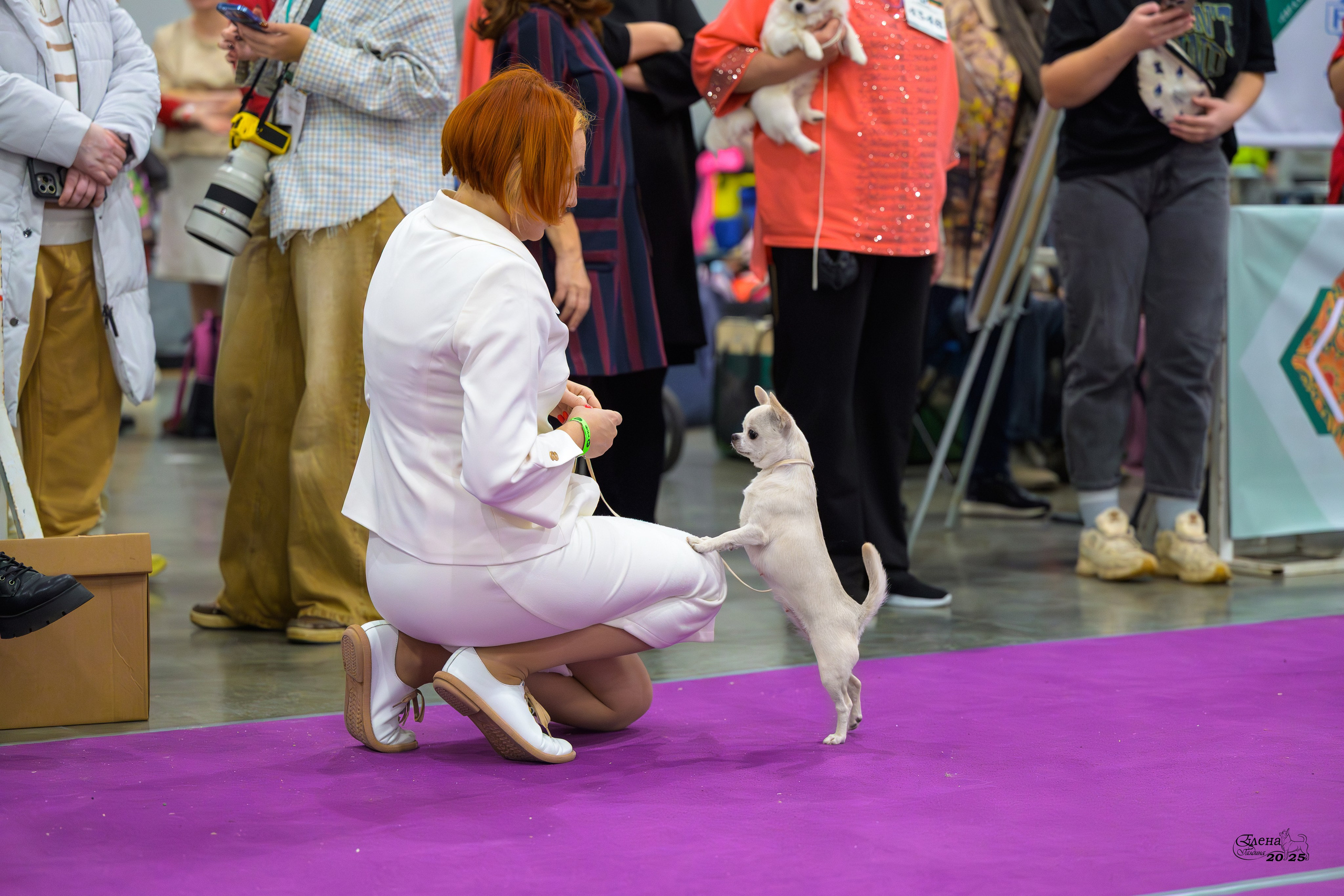 15-16.11.2025 ЕВРАЗИЯ г. Москва. Фотограф анималист Елена Галдина г. Красноярск