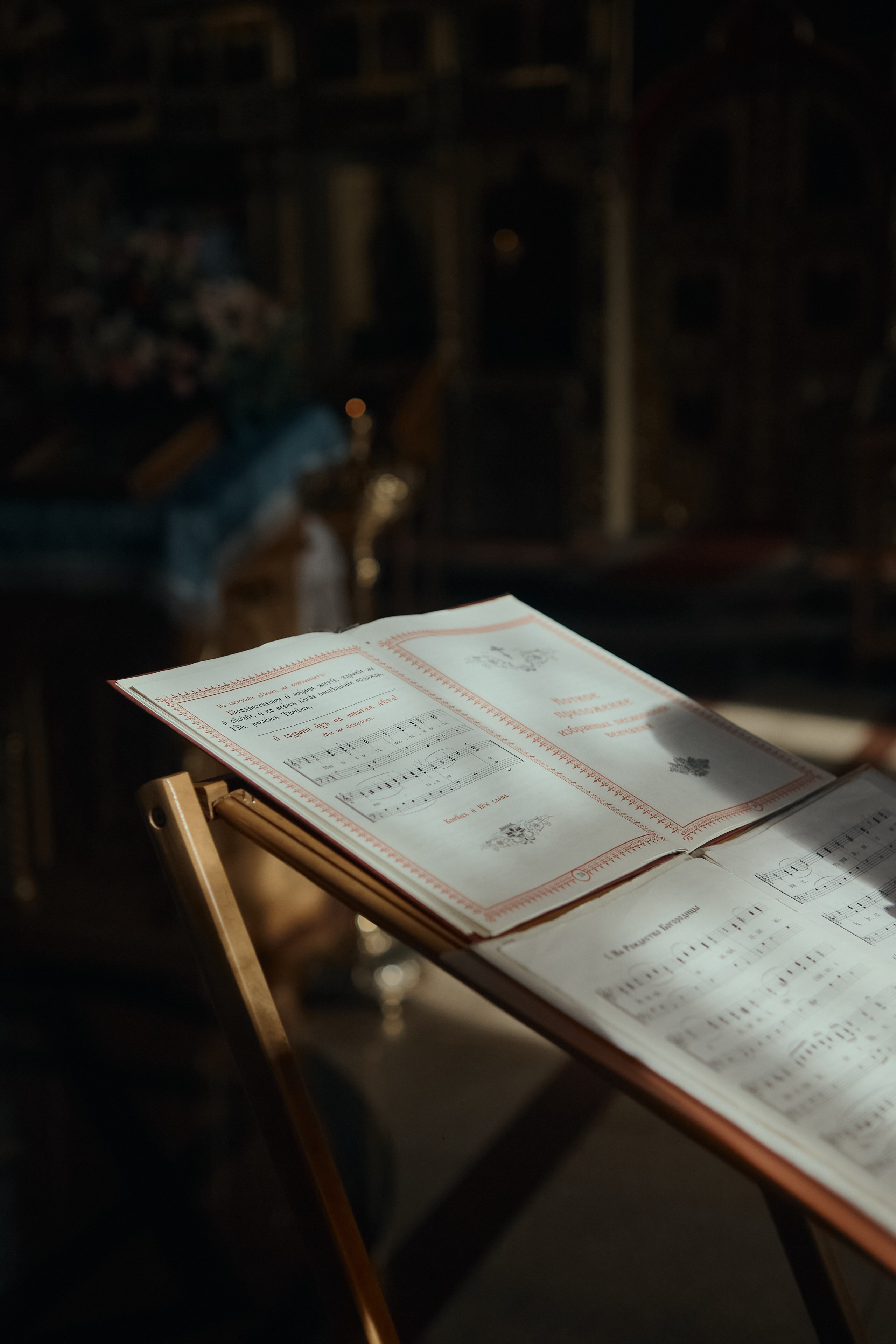 Фотограф — Данилов Михаил. Бизнес и контент фотограф — Михаил Данилов | Москва, Видное, Домодедово