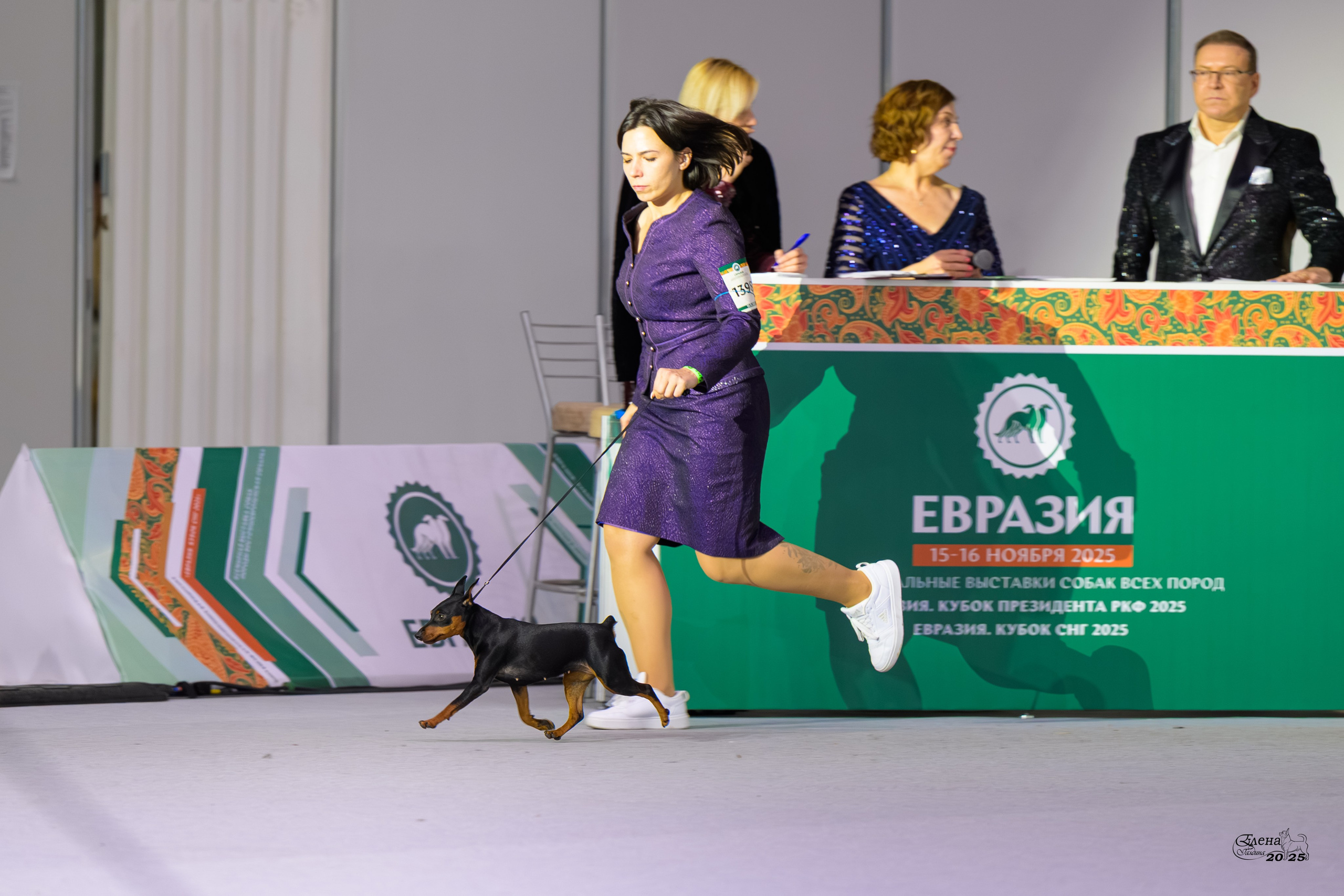 15-16.11.2025 ЕВРАЗИЯ г. Москва. Фотограф анималист Елена Галдина г. Красноярск