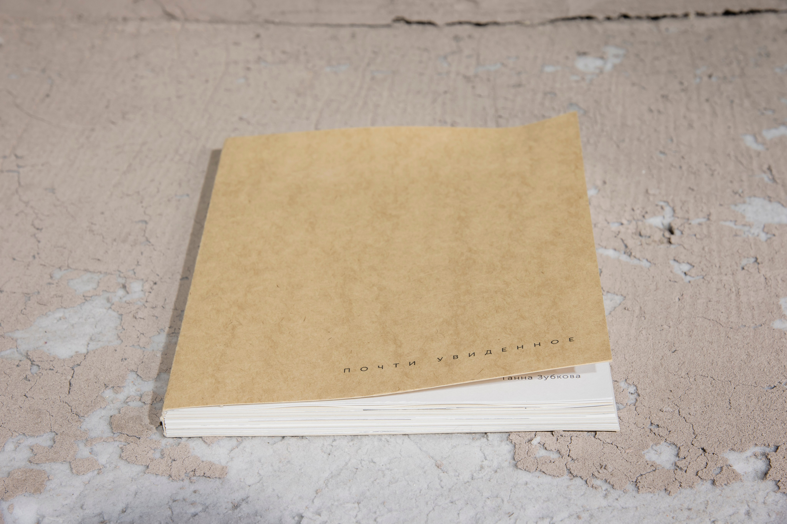 «Почти увиденное», групповая выставка, 26.09-04.10, ЦТИ «Фабрика», Москва. Лера Круглова