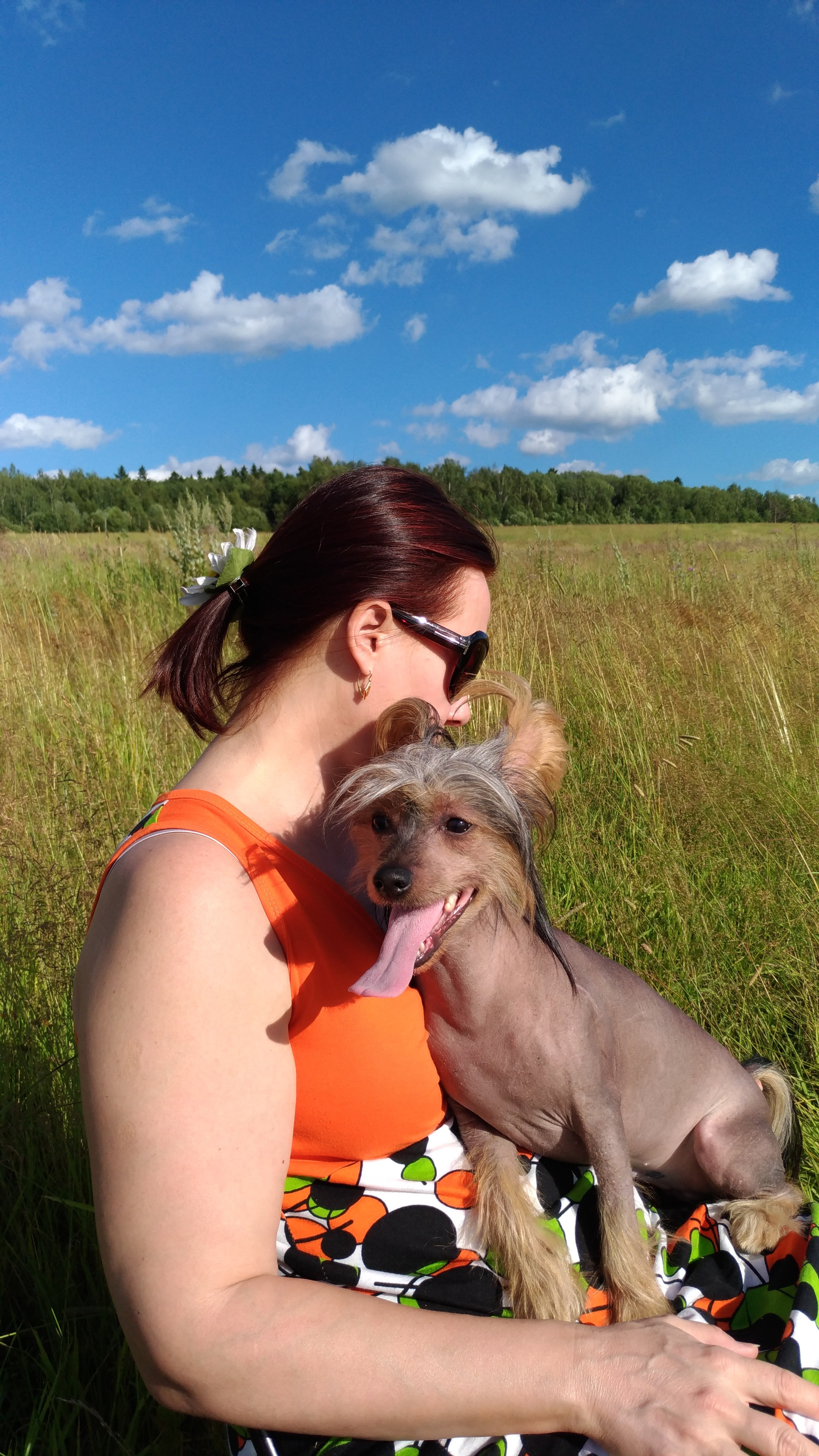 В поле под присмотром сокола. Питомник китайских хохлатых собак Poale Ell: купить щенка в питомнике