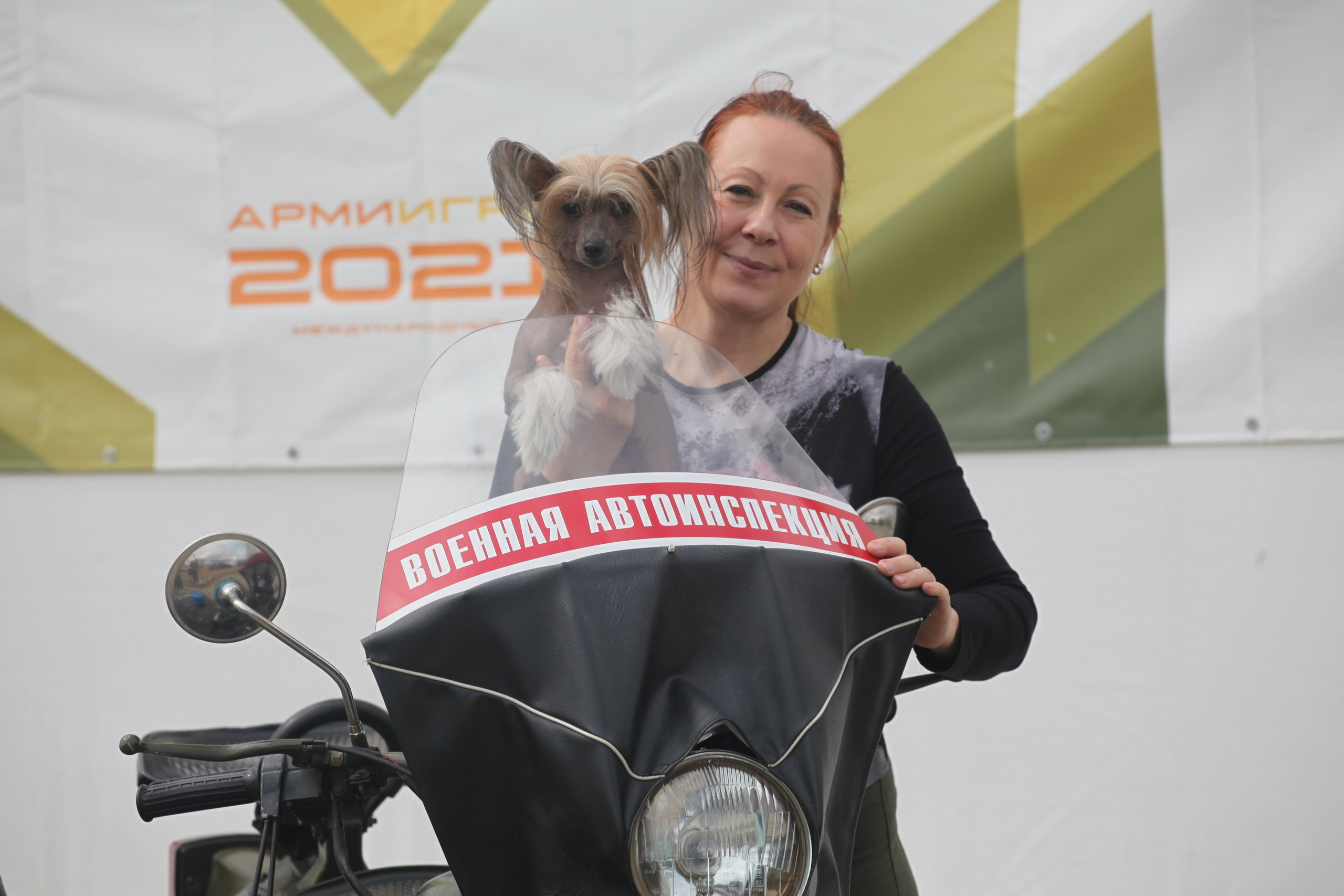 Poale Ell Clare. Chinese Crested Dog Kennel Poale Ell