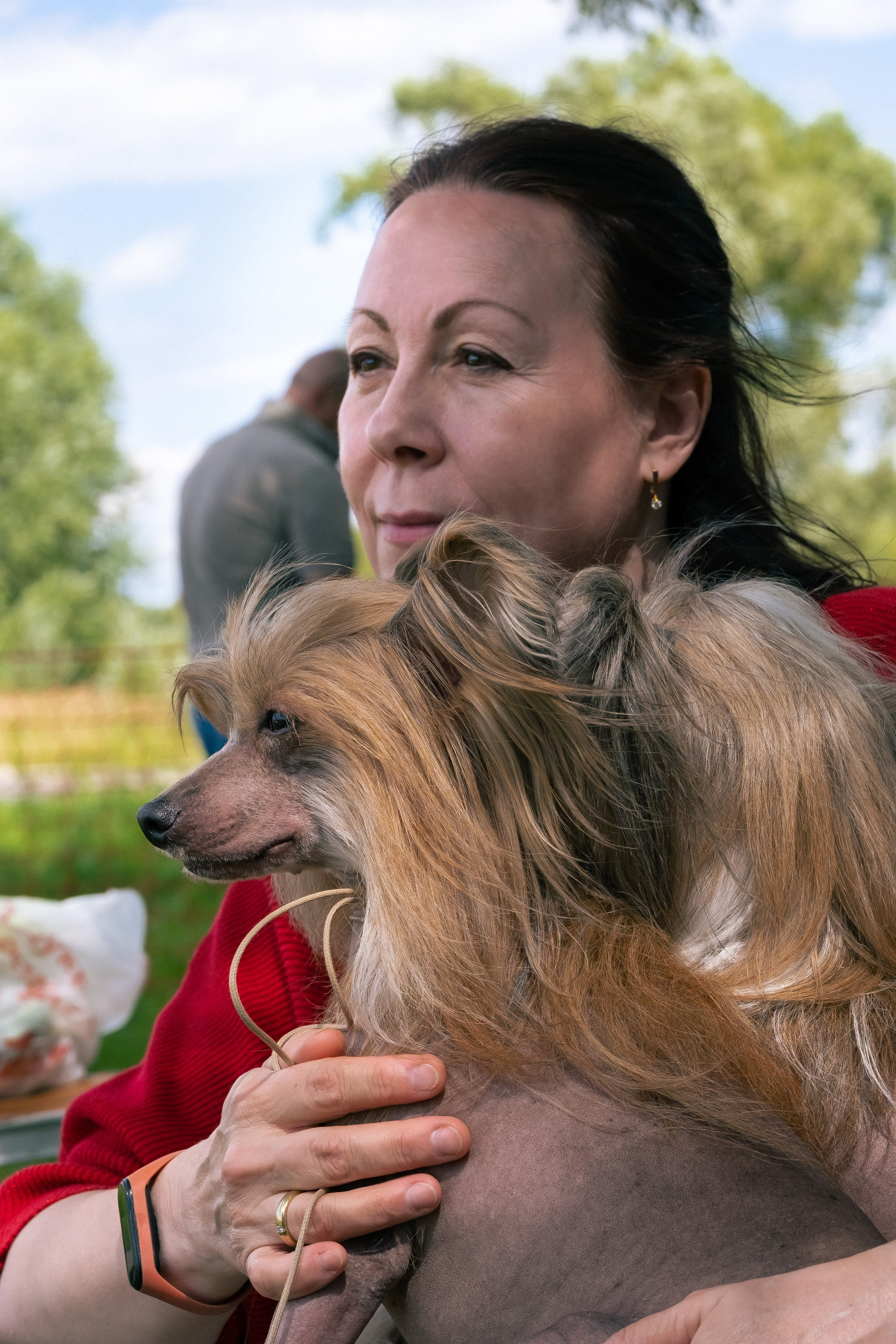 Poale Ell Cooper. Chinese Crested Dog Kennel Poale Ell