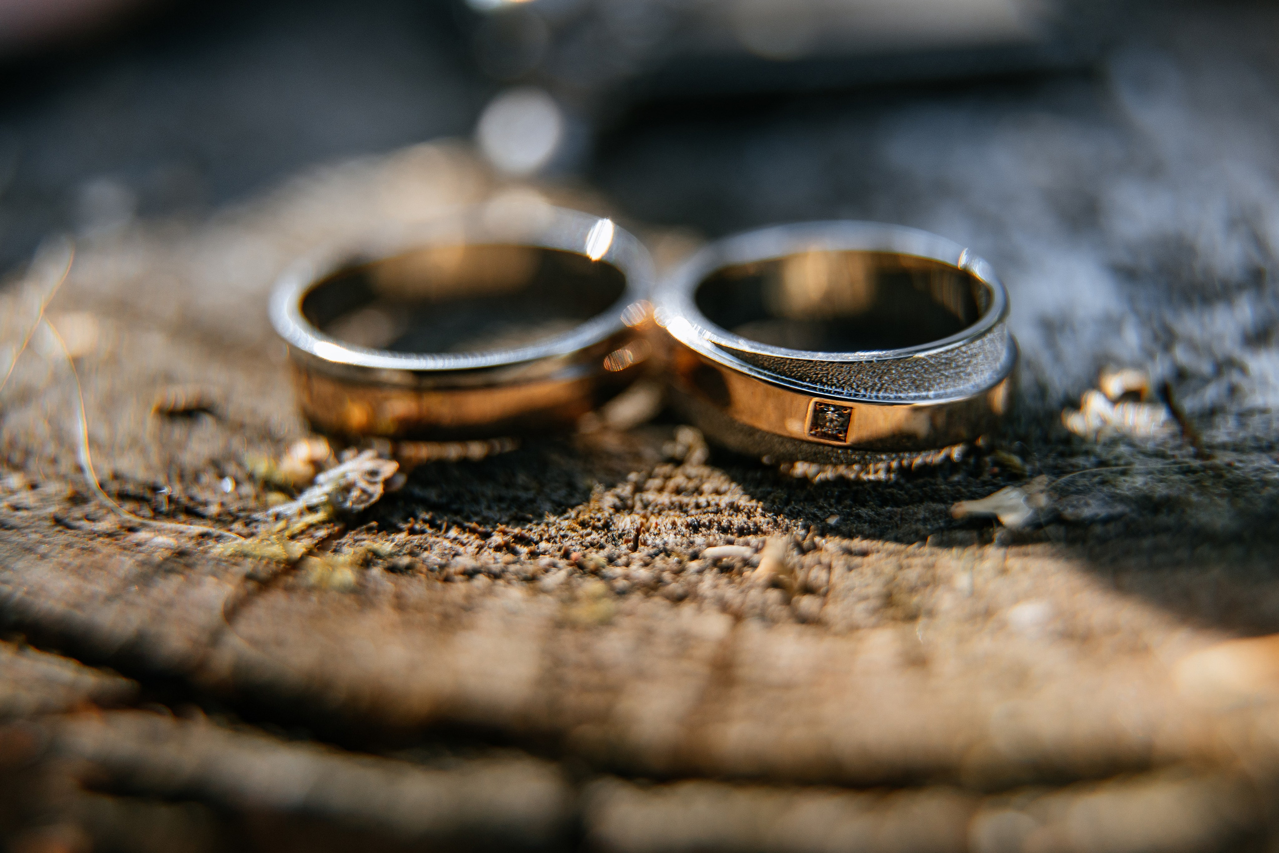 Ярослав и Аня