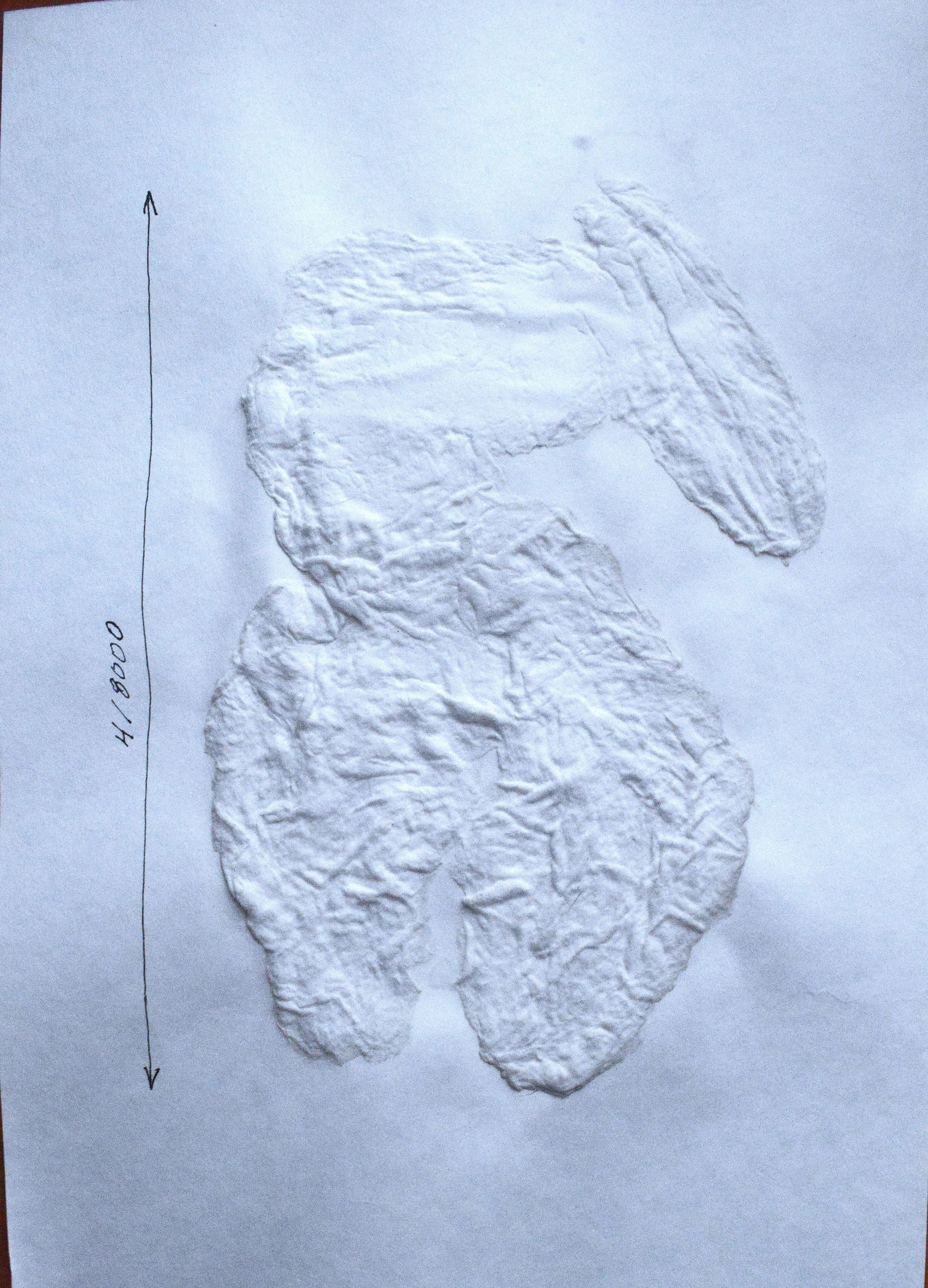 8000. 2025. Лилия Ким. Междисциплинарный художник