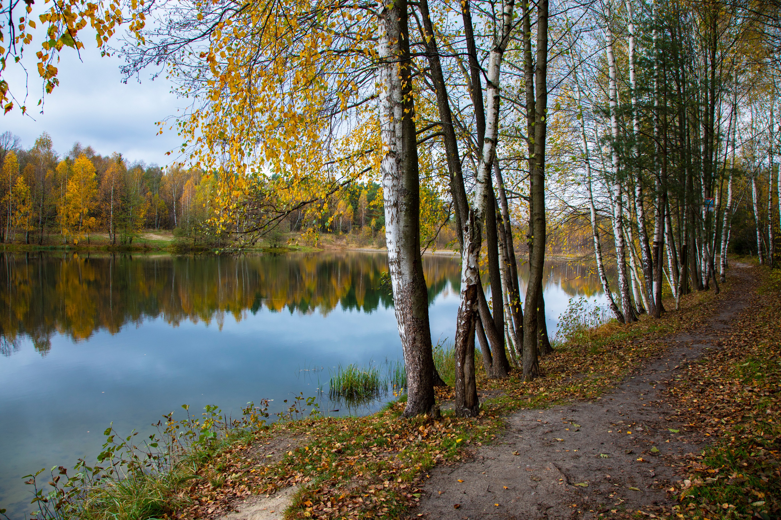 Осень. Свадьбы, портретная, предметная съемка. Фотограф Александр К