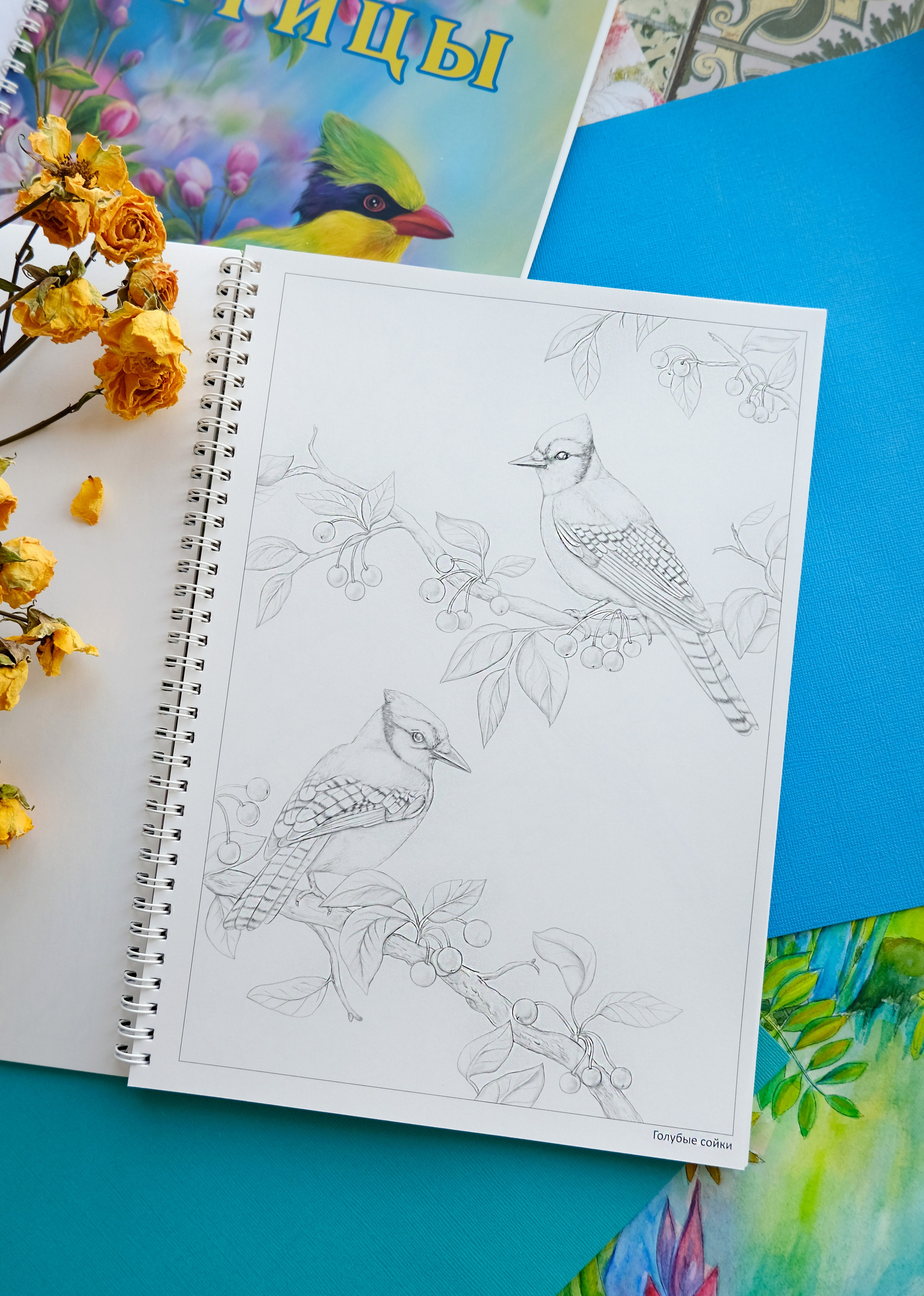 Авторская раскраска от художника Птицы. Раскраски Алёны Лазаревой