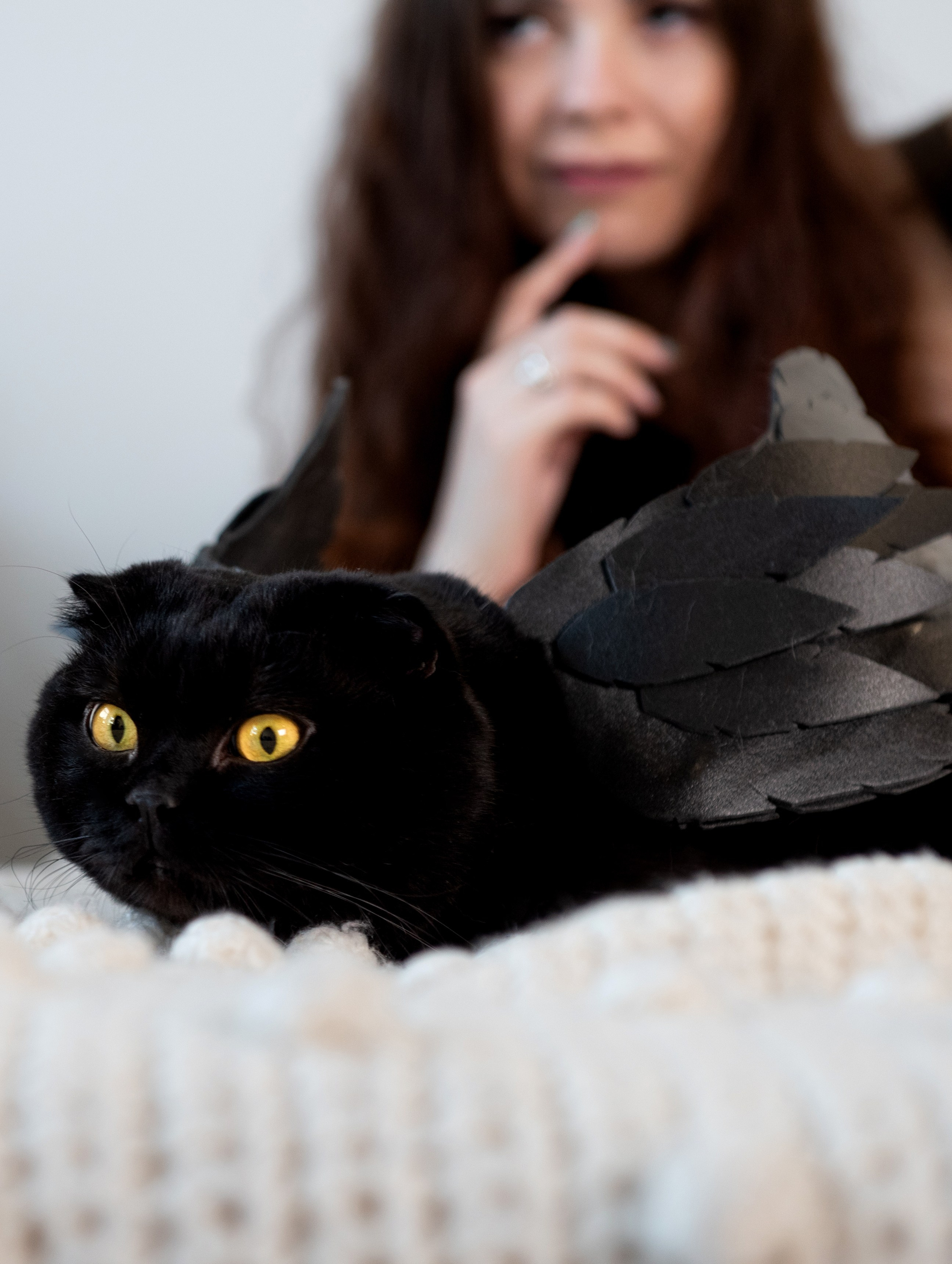 Фото проект Black Cat. Фотограф самых запоминающихся моментов Вашей жизни