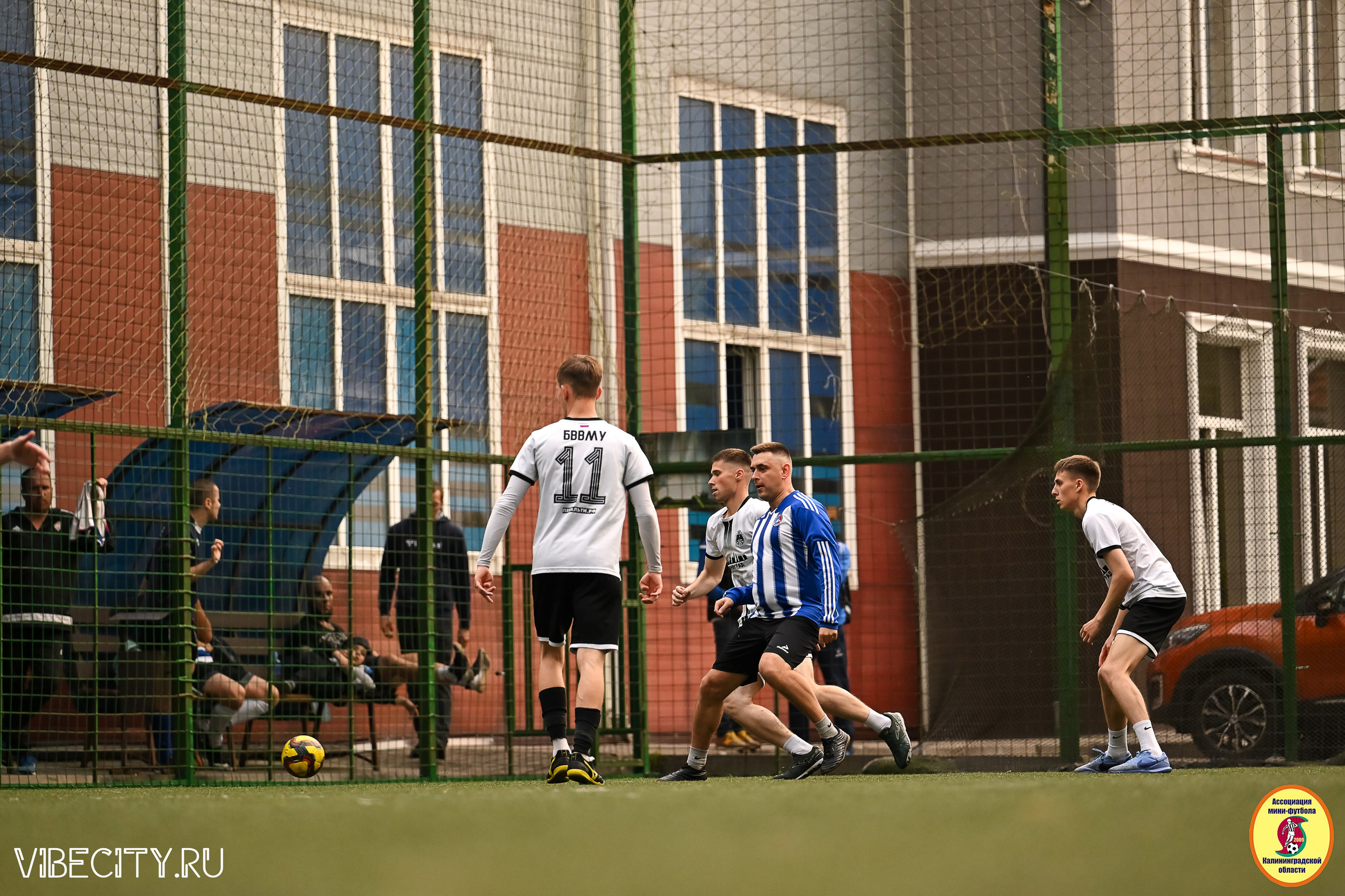 ИГРЫ МИНИ-ФУТБОЛЬНОЙ И КОРПОРАТИВНОЙ ЛИГИ. VIBECITY.RU Вайб Сити Ру Фоторепортажи Фотоотчеты Калининград