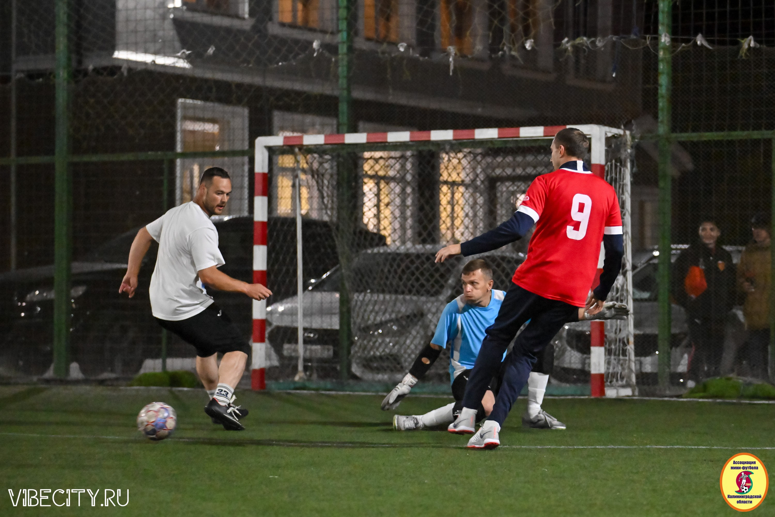 КУБОК ДРУЖБЫ. VIBECITY.RU Вайб Сити Ру Фоторепортажи Фотоотчеты Калининград