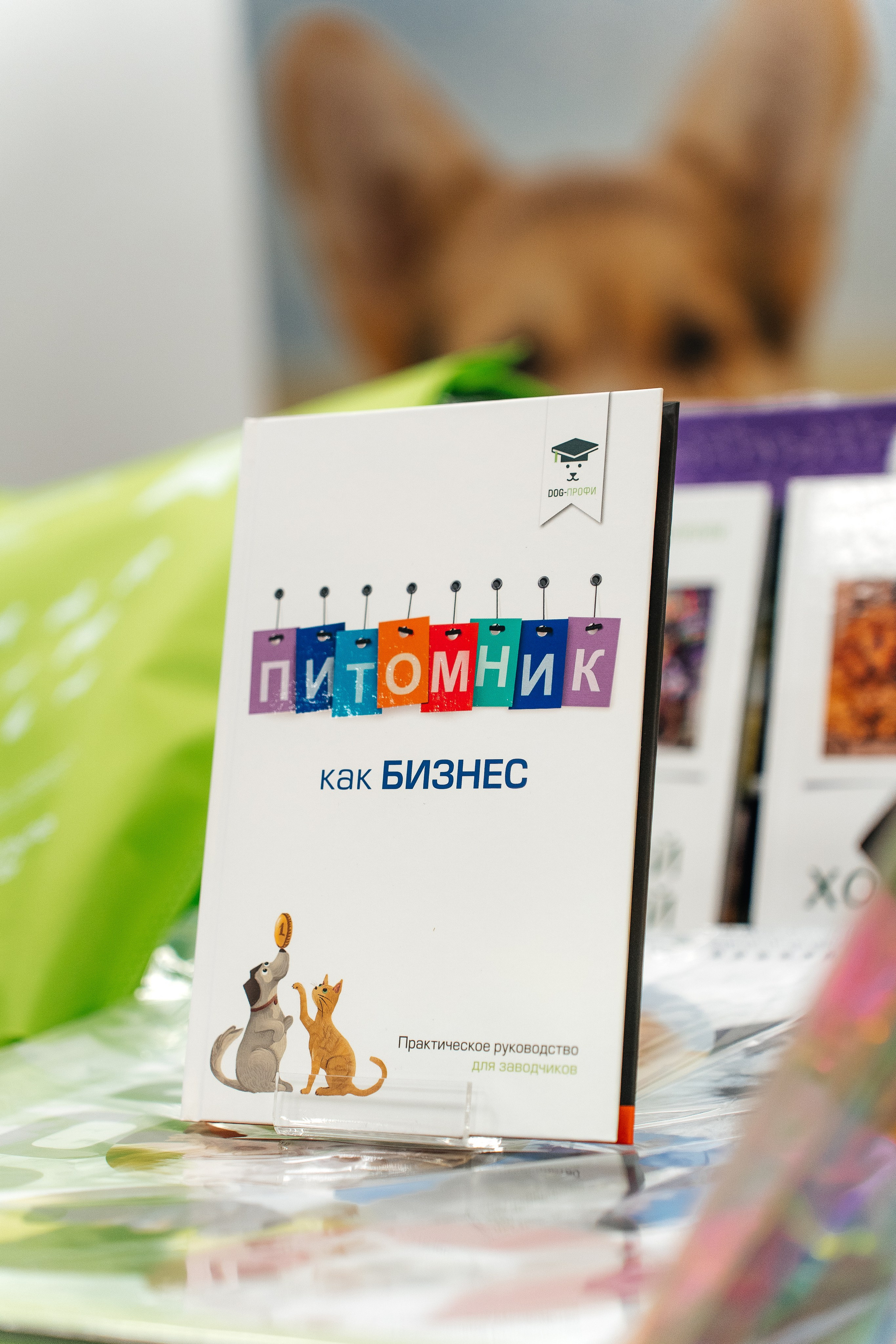 Конференция DOG-ПРОФИ для заводчиков. Питомник китайских хохлатых собак Poale Ell: купить щенка