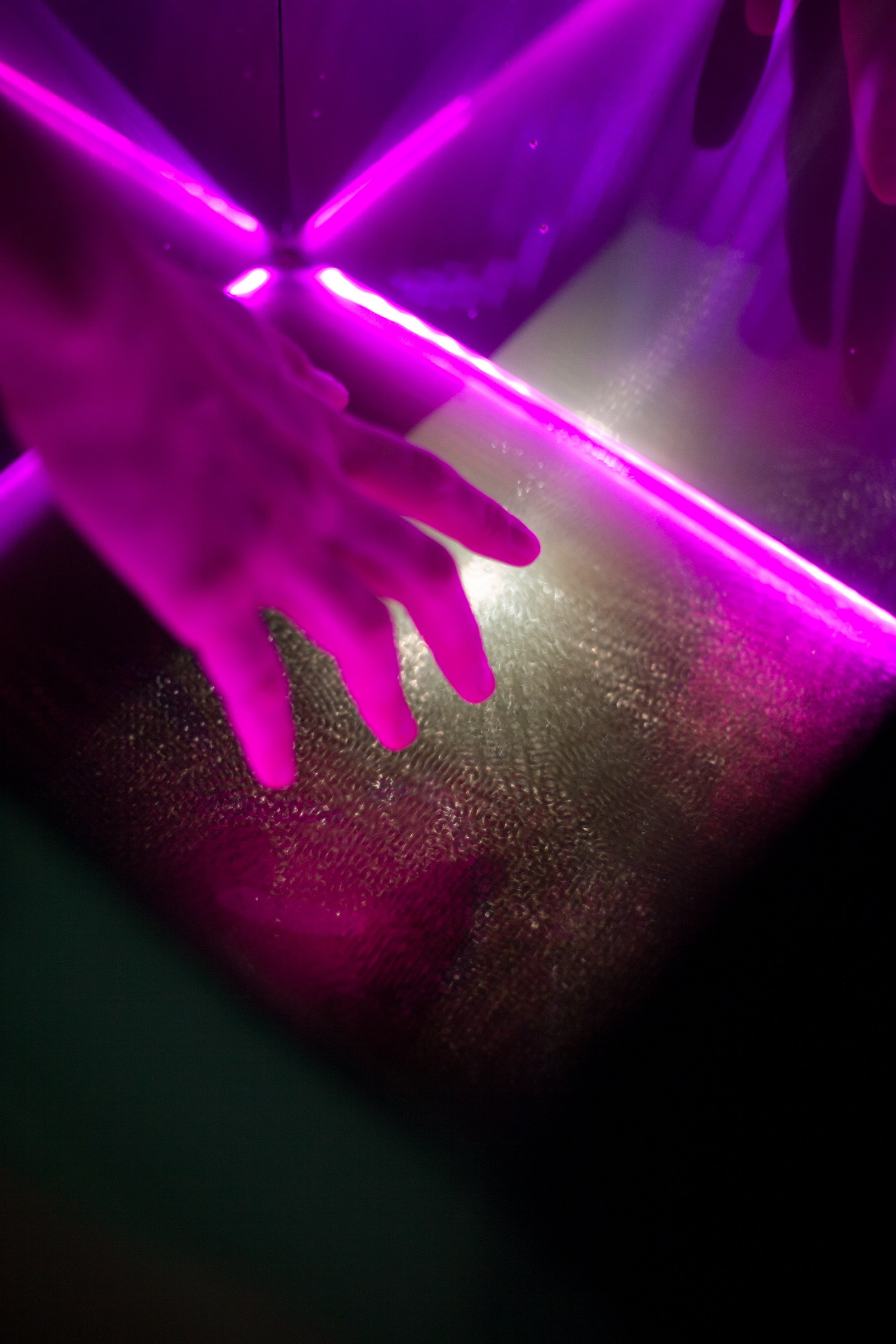 SOS.Sound Of Survivor. Aleksandra Mikhailova