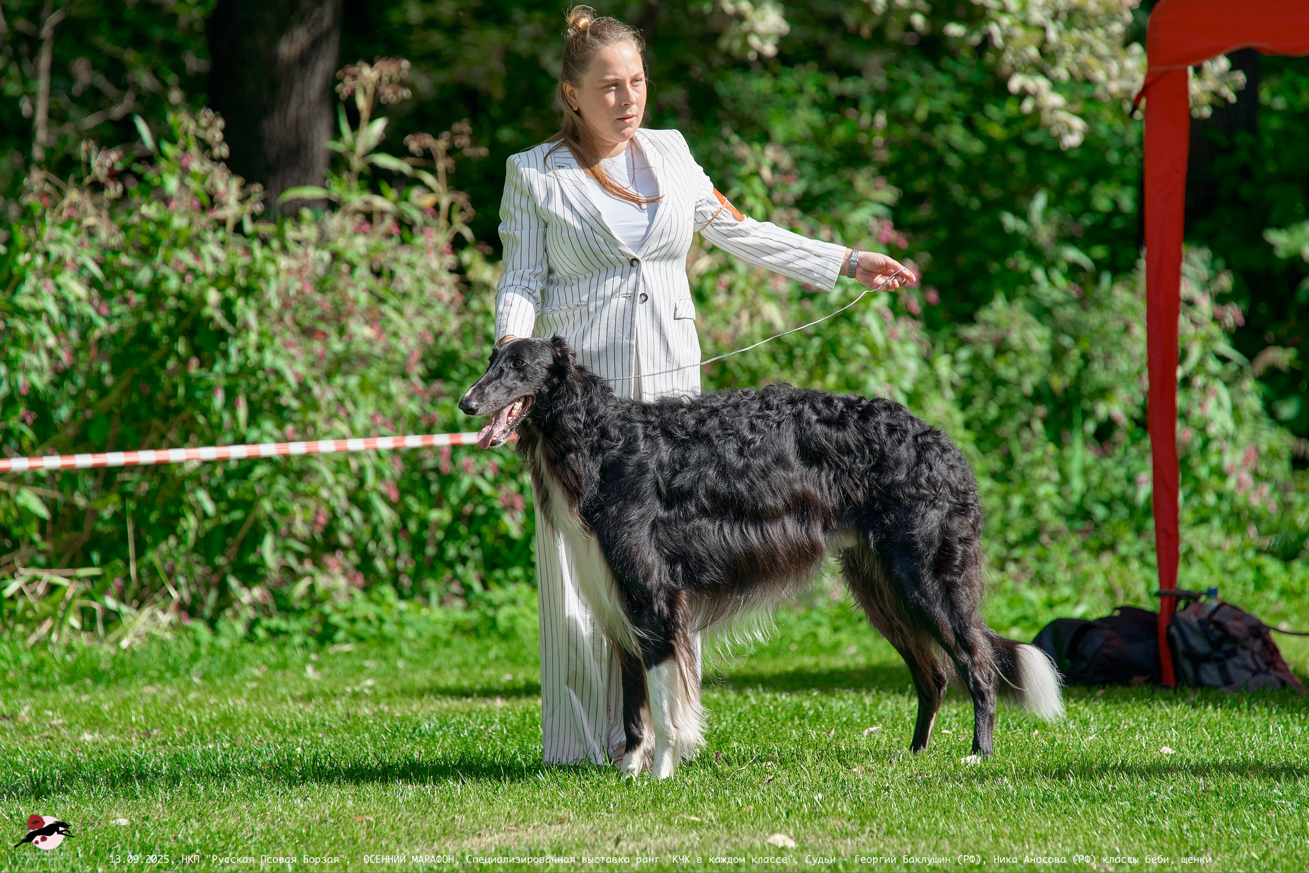 ОСЕННИЙ МАРАФОН | Специализированная выставка породы Русская Псовая Борзая ранг "КЧК в каждом классе"