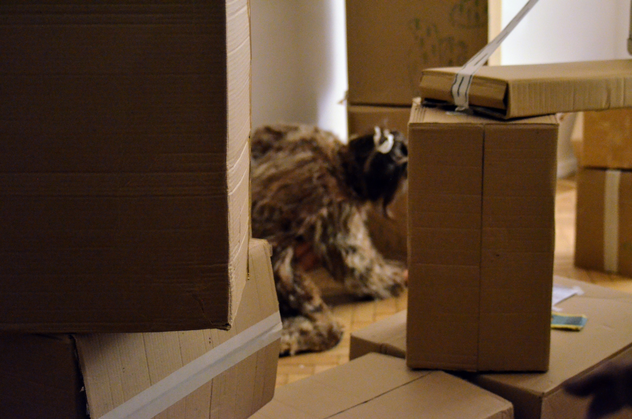 2024 performans “boxes”. Home