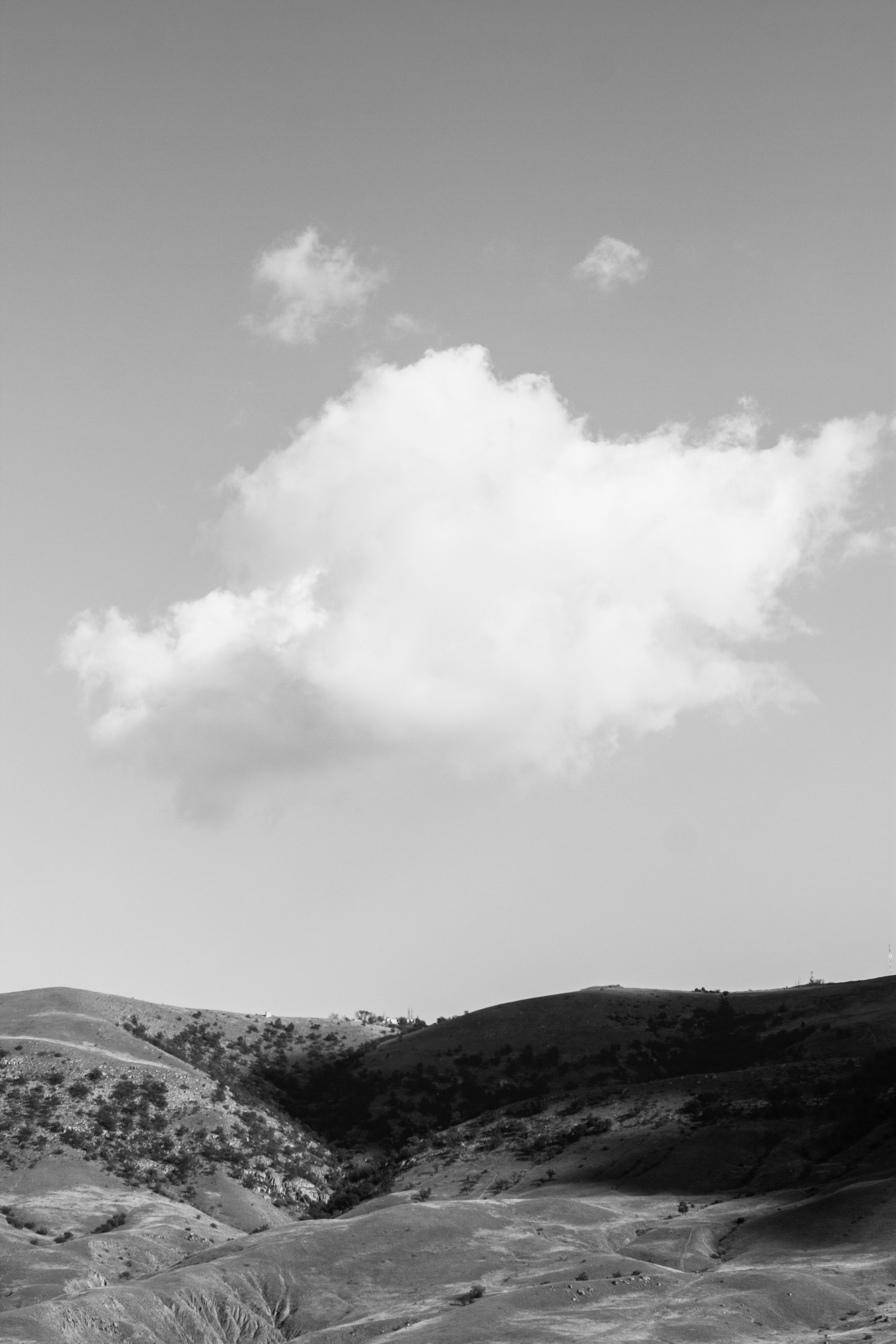 Shunya. Kristina Sergeeva