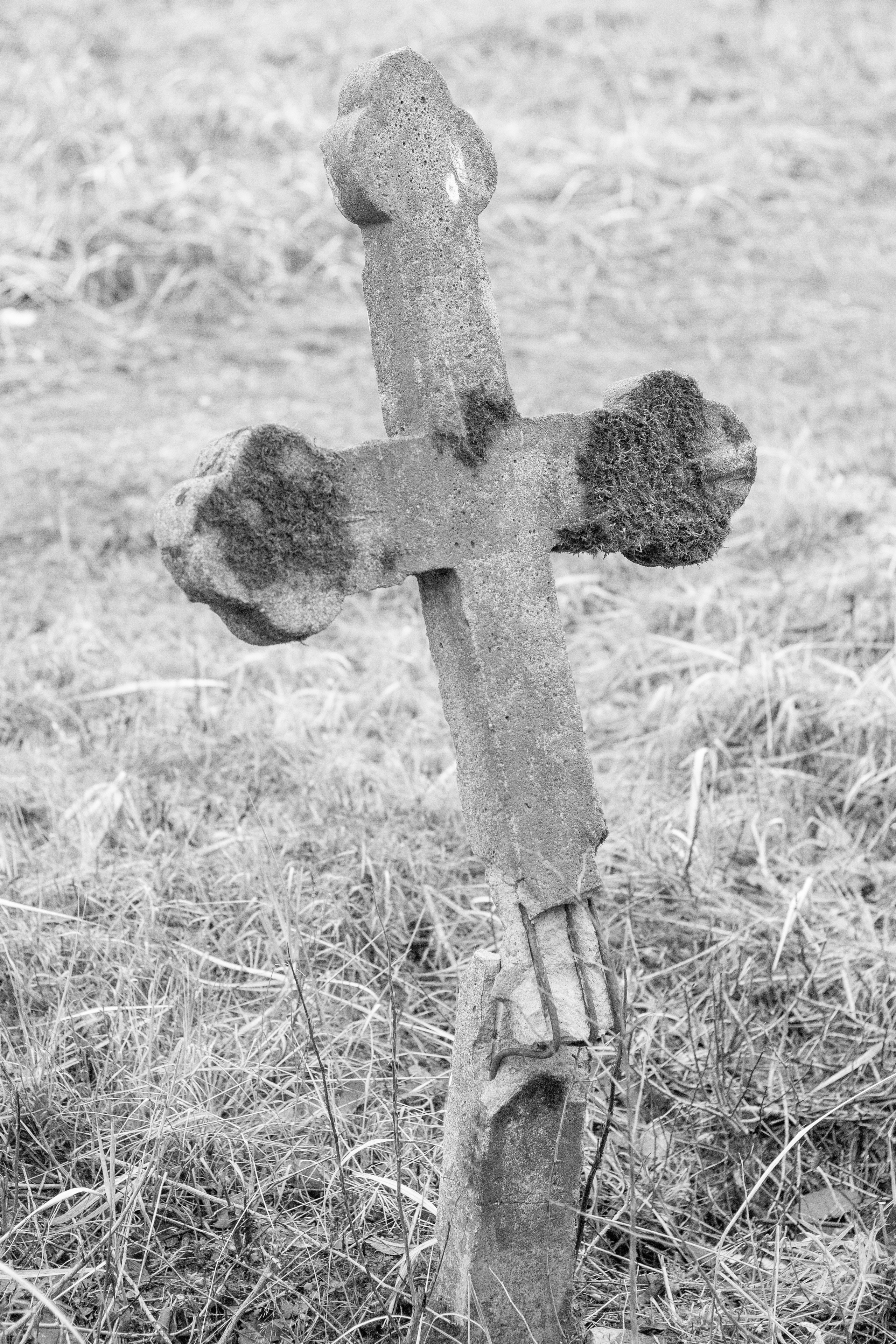 Shunya. Kristina Sergeeva