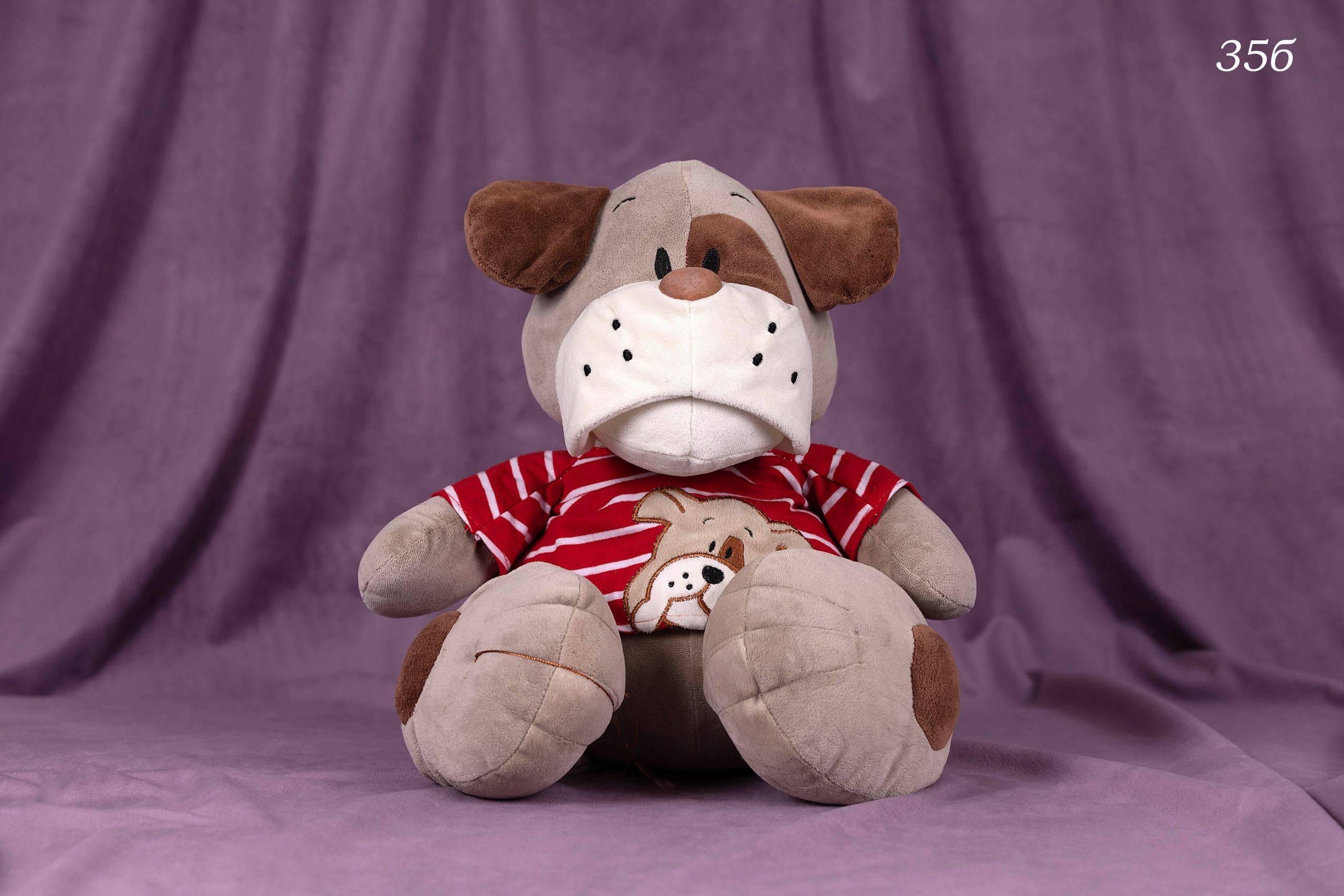 Фоны большого размера. Фотограф-анималист в Омске Екатерина Маричева