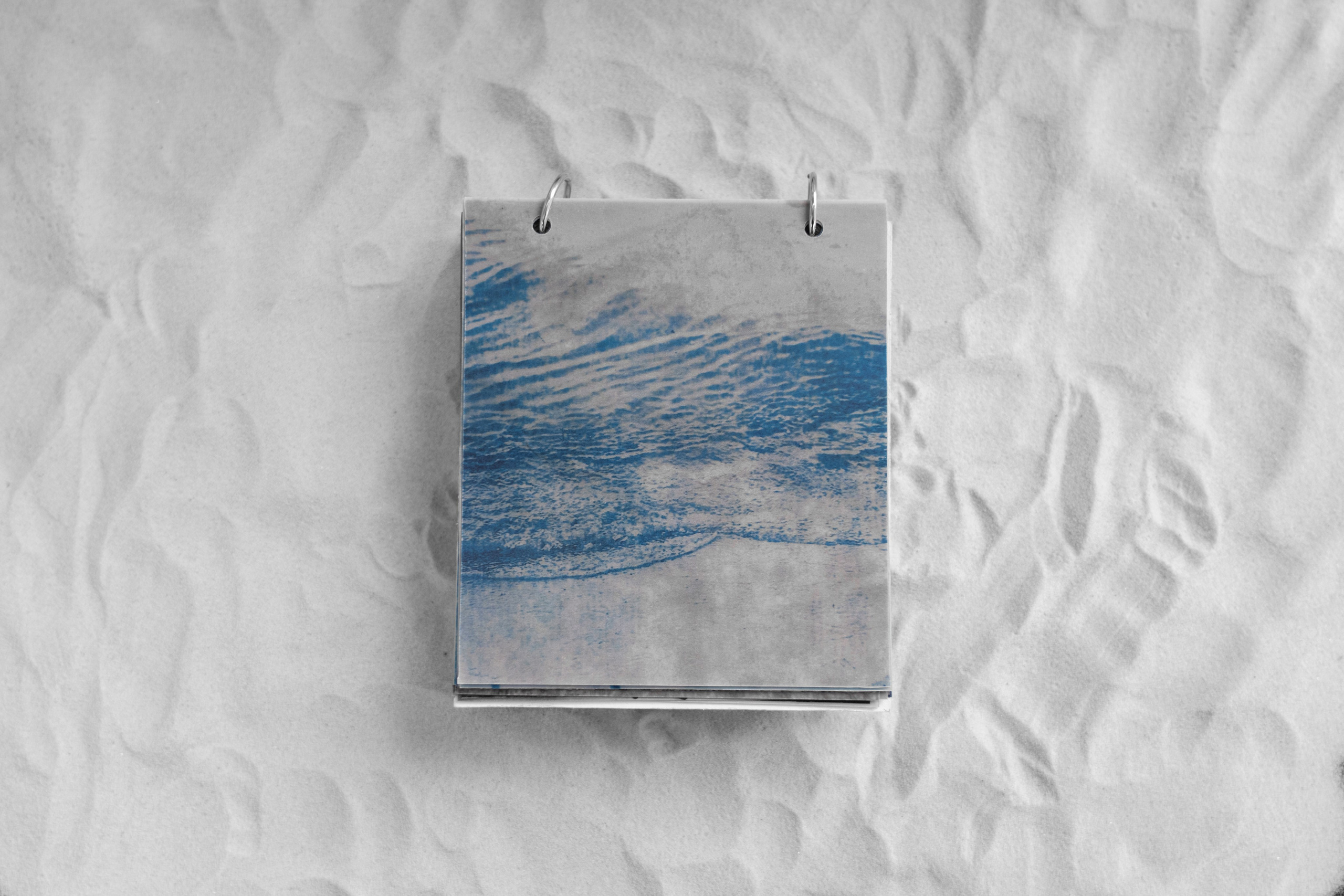 Укрытие. Катрин Эдельвак