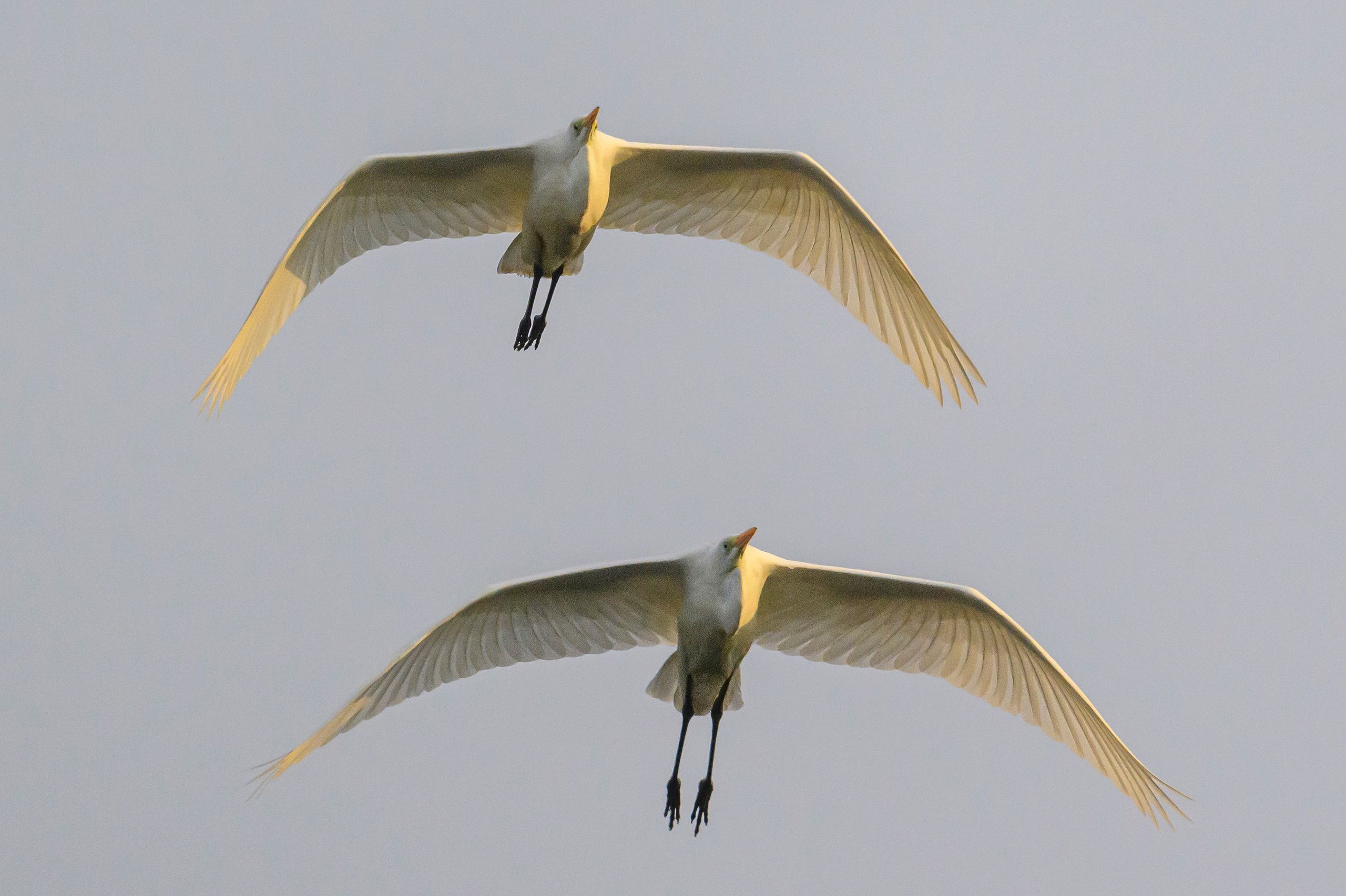 После шторма. After the storm. Фотограф Сергей Пупонин