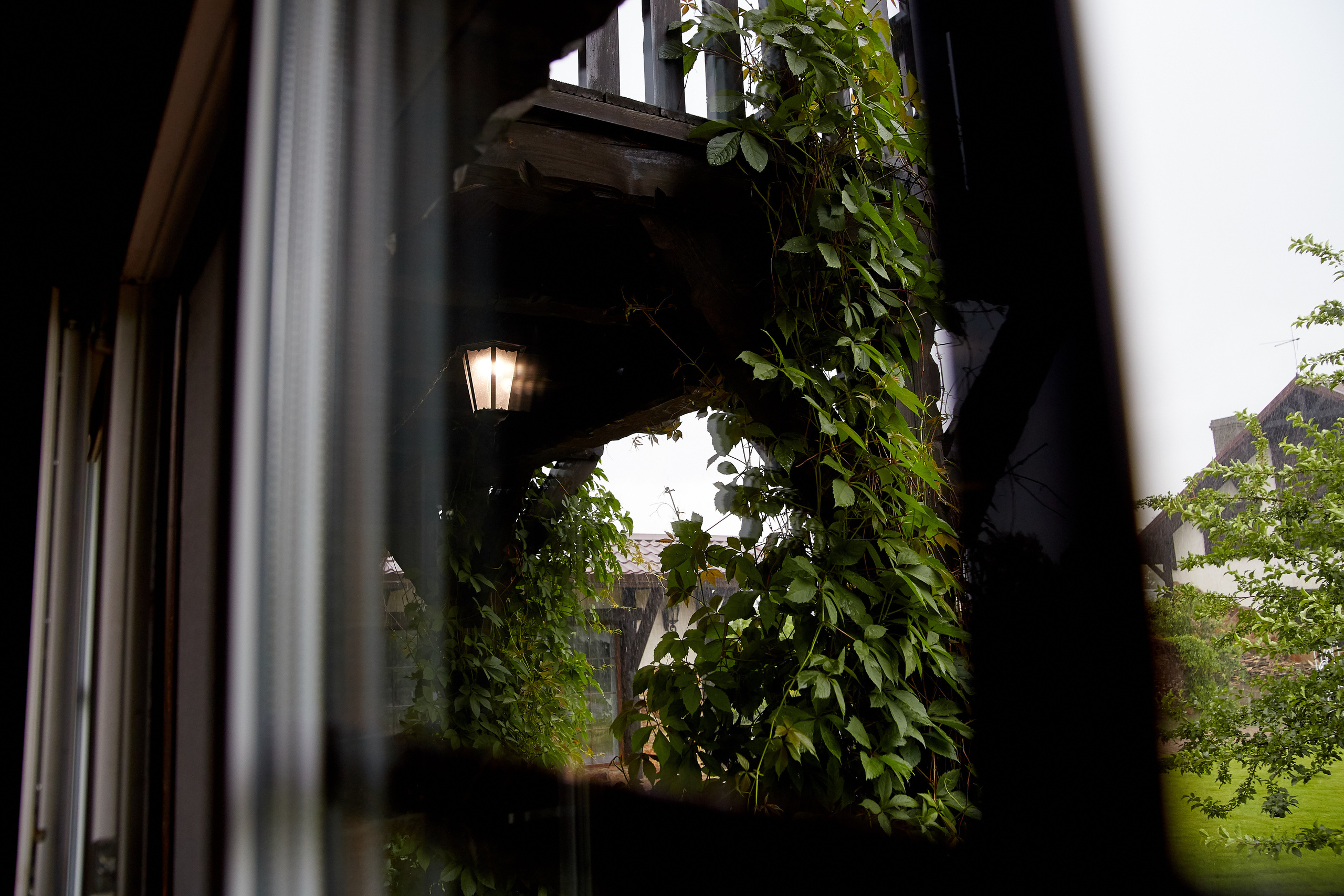 Александр и Мария. Анонс. Профессиональный фотограф Светлана Писарева