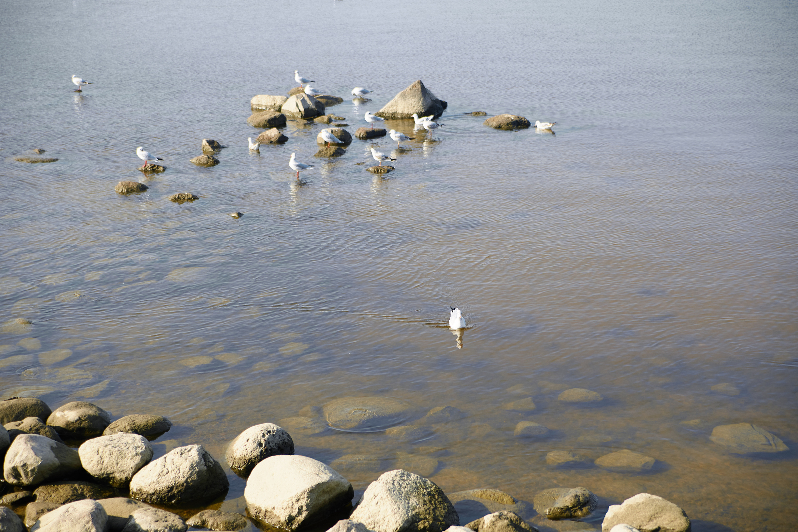 Питер. Профессиональный фотограф Светлана Писарева