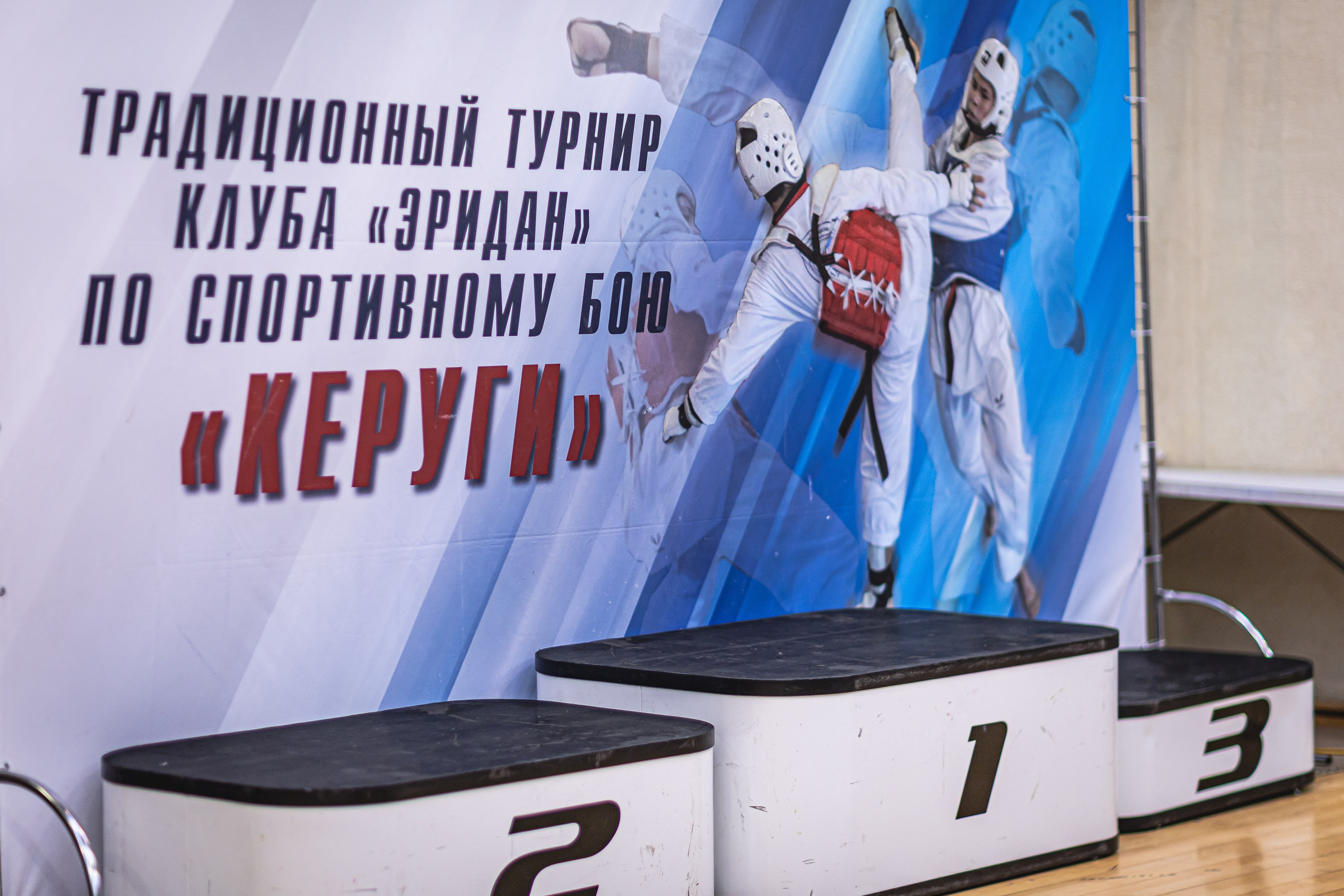 Турнир ВДЮФСОО «ФЕДЕРАЦИЯ ДЕТСКОГО ТХЭКВОНДО РОССИИ» и МОО СПКЕ «ЭРИДАН» по «СПОРТИВНОМУ БОЮ КЕРУГИ». Спортивный фотограф Максим Серегин