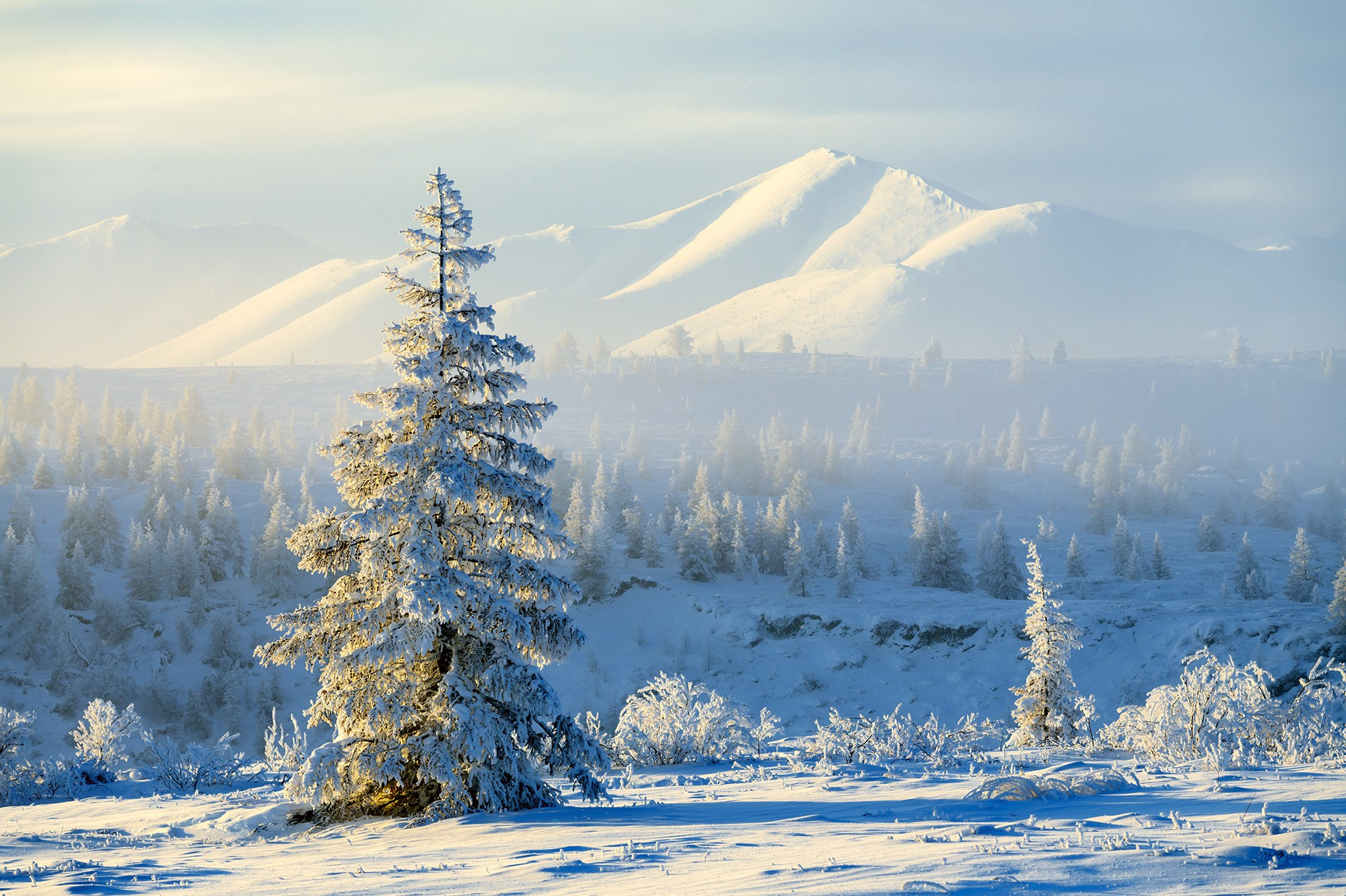 Программа зимней фотоэкспедиции в хребет Улахан-Чистай. Якутия