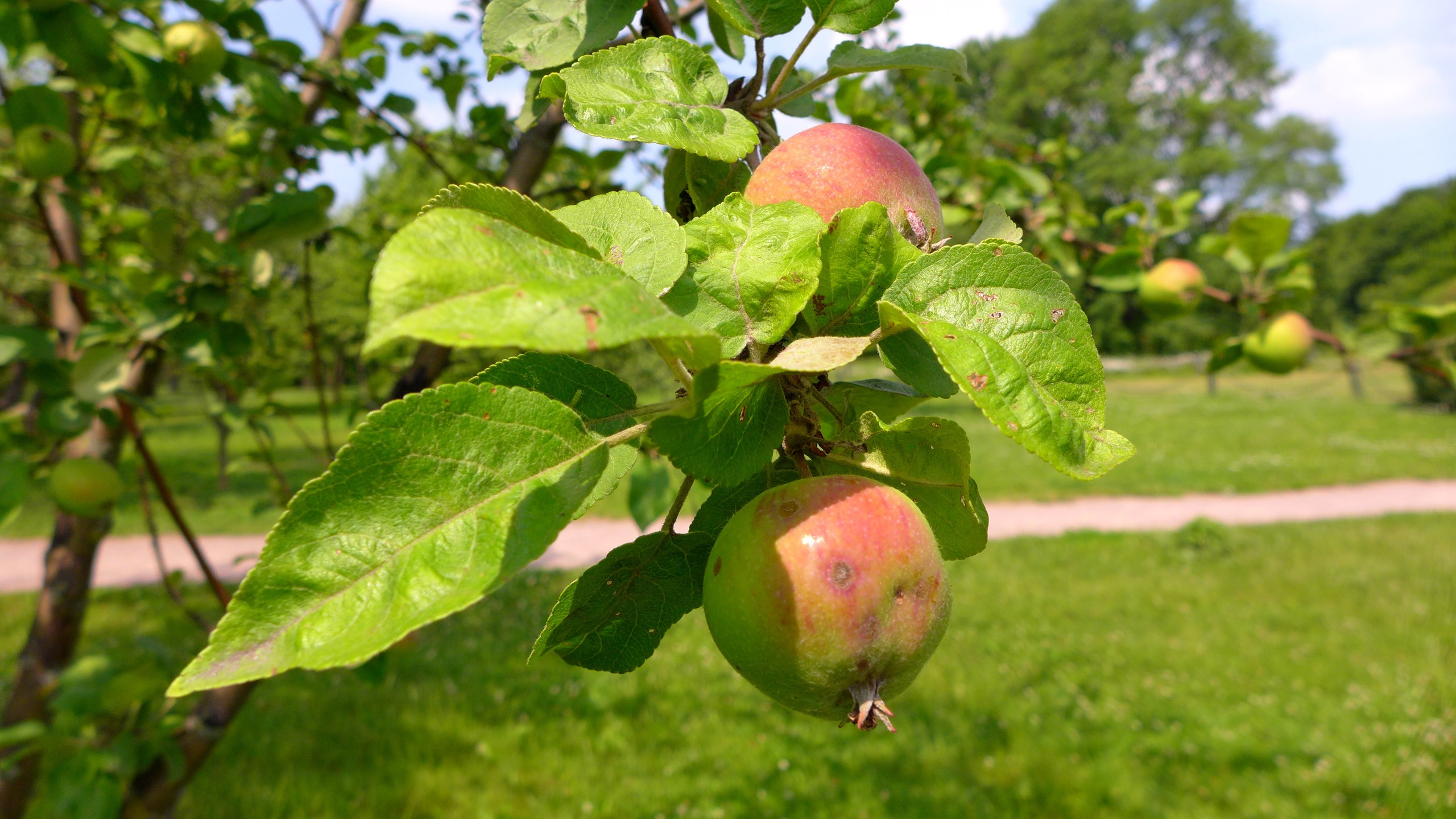 Август. Photo-gerz.ru