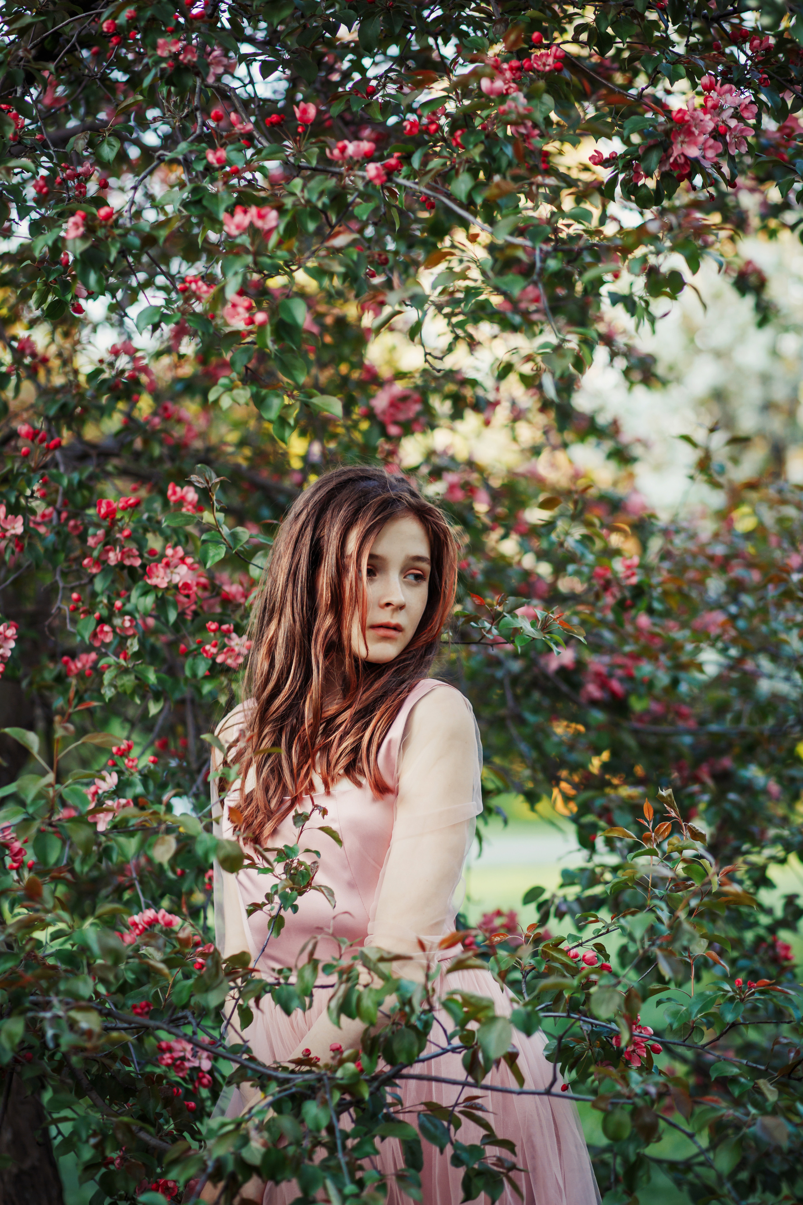 Фотосессии в яблоневых садах. Бренд‑фотограф в Москве | Rina _Sphoto — личный и бизнес‑контент