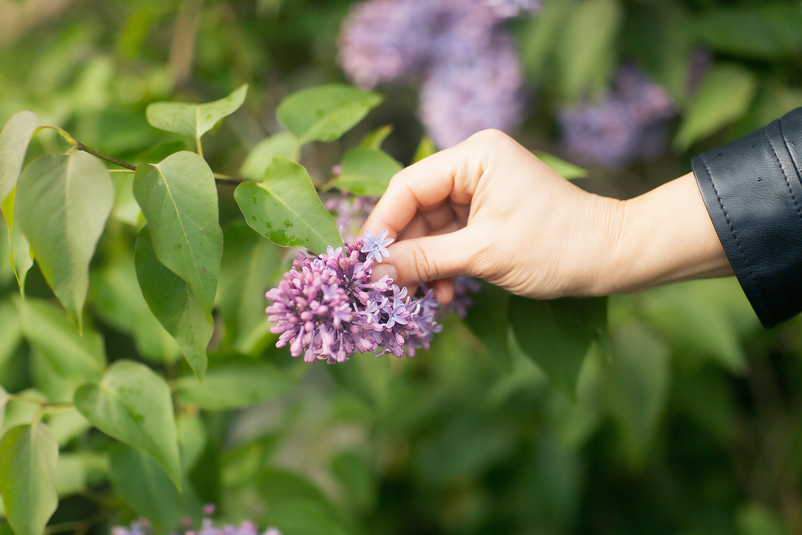 Короткая прогулка. Анна Гидрос — профессиональный фотограф в Санкт-Петербурге