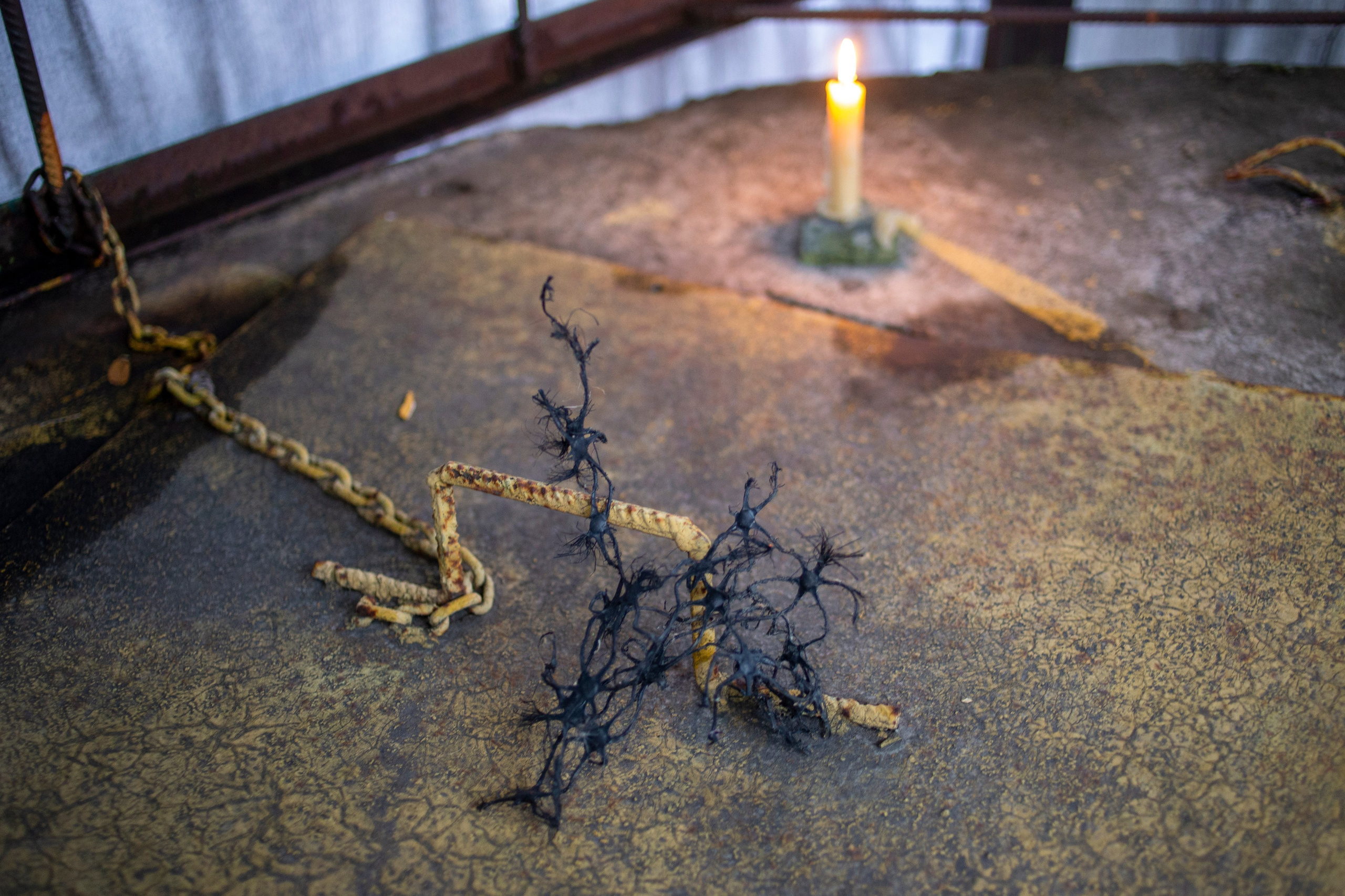 Сумерки речи. Михаил Курганов