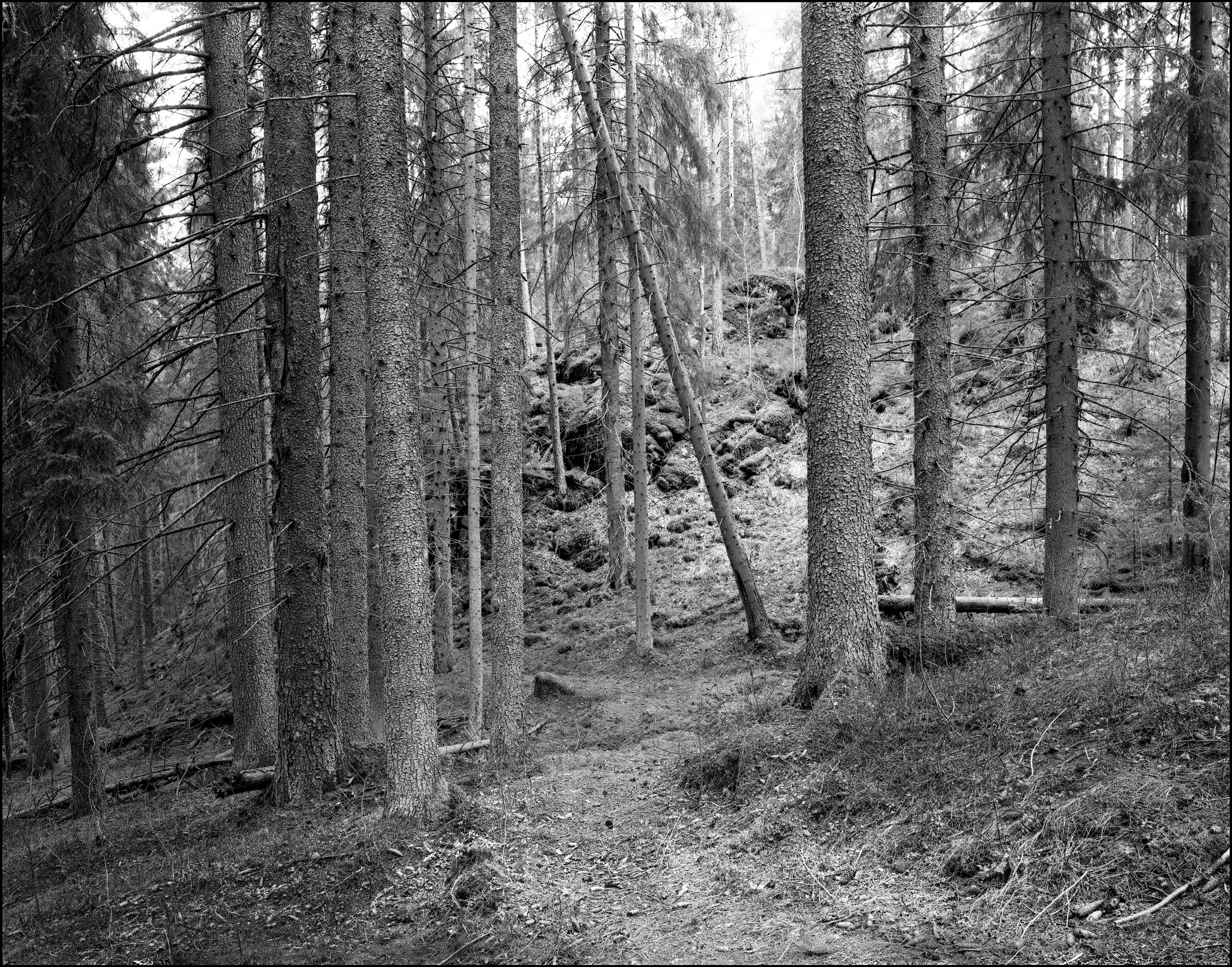 Landscape. Sergey Kondriuk art-photographer | artist