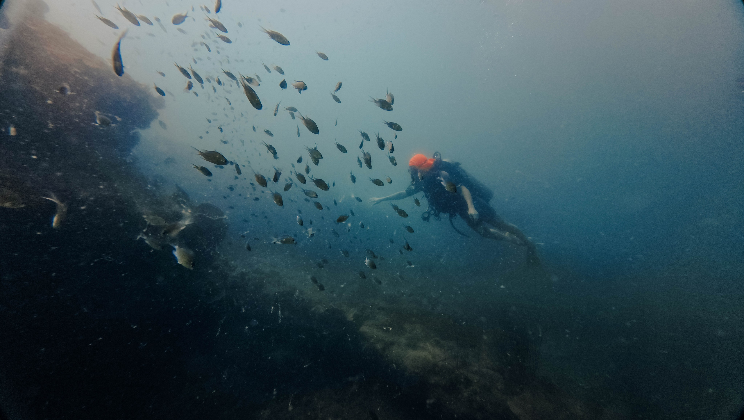 Для тех кто не боится сделать первый шаг. Дайвинг во Вьетнаме