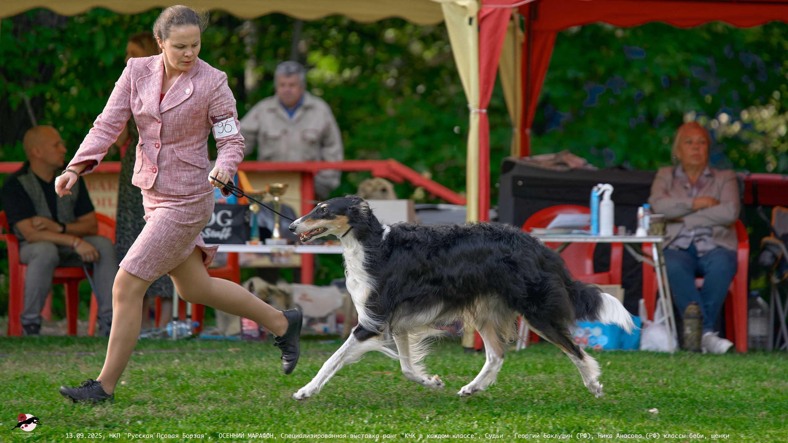 ОСЕННИЙ МАРАФОН | Специализированная выставка породы Русская Псовая Борзая ранг "КЧК в каждом классе"