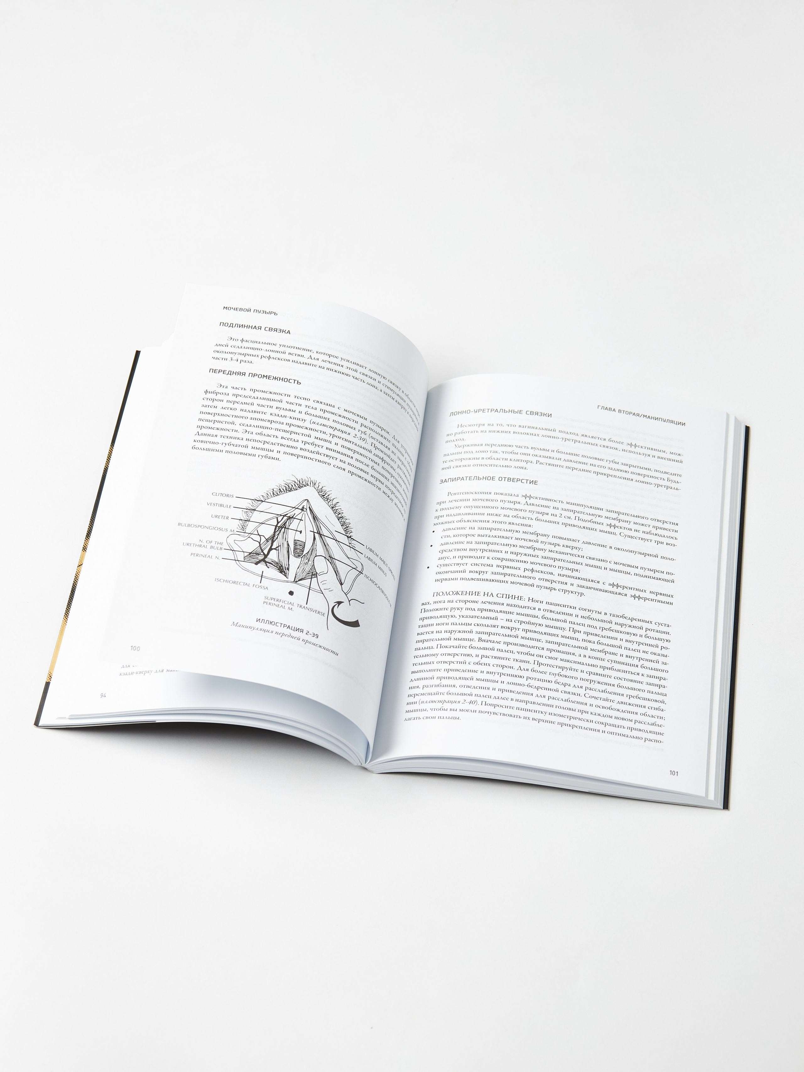 Предметная съёмка для маркетплейсов. Рекламный фотограф в Санкт-Петербурге Петр Дорошенко