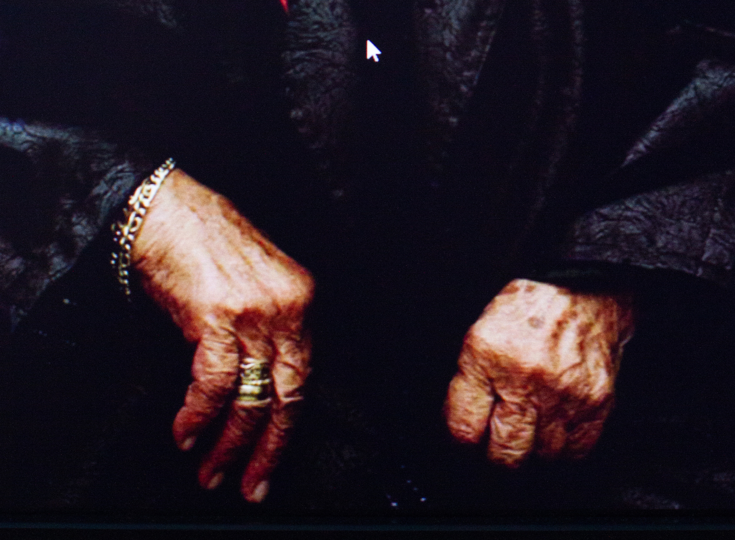 Phobia. Alexander Zorin